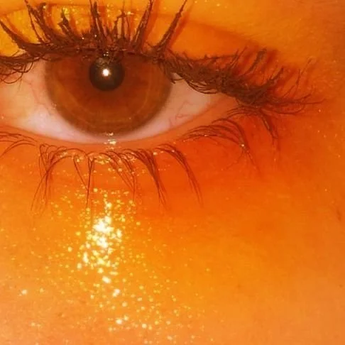 Close-up image of an eye with brown iris and long eyelashes, surrounded by orange-colored skin.