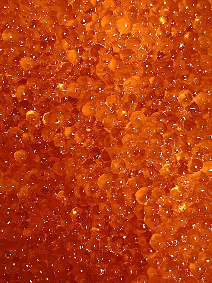 Close-up of bright orange fish eggs, likely salmon roe.