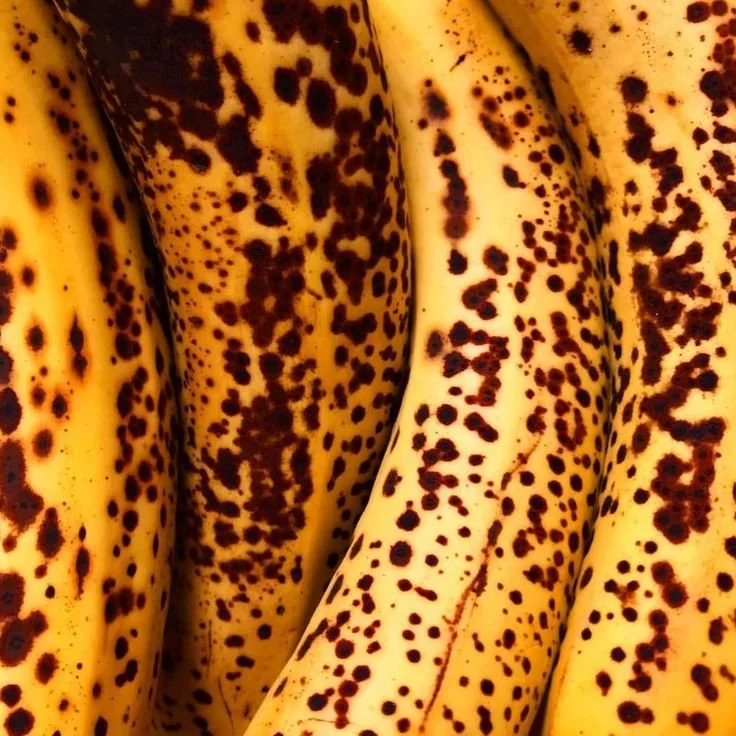 Close-up of ripe bananas with brown spots on yellow skins.
