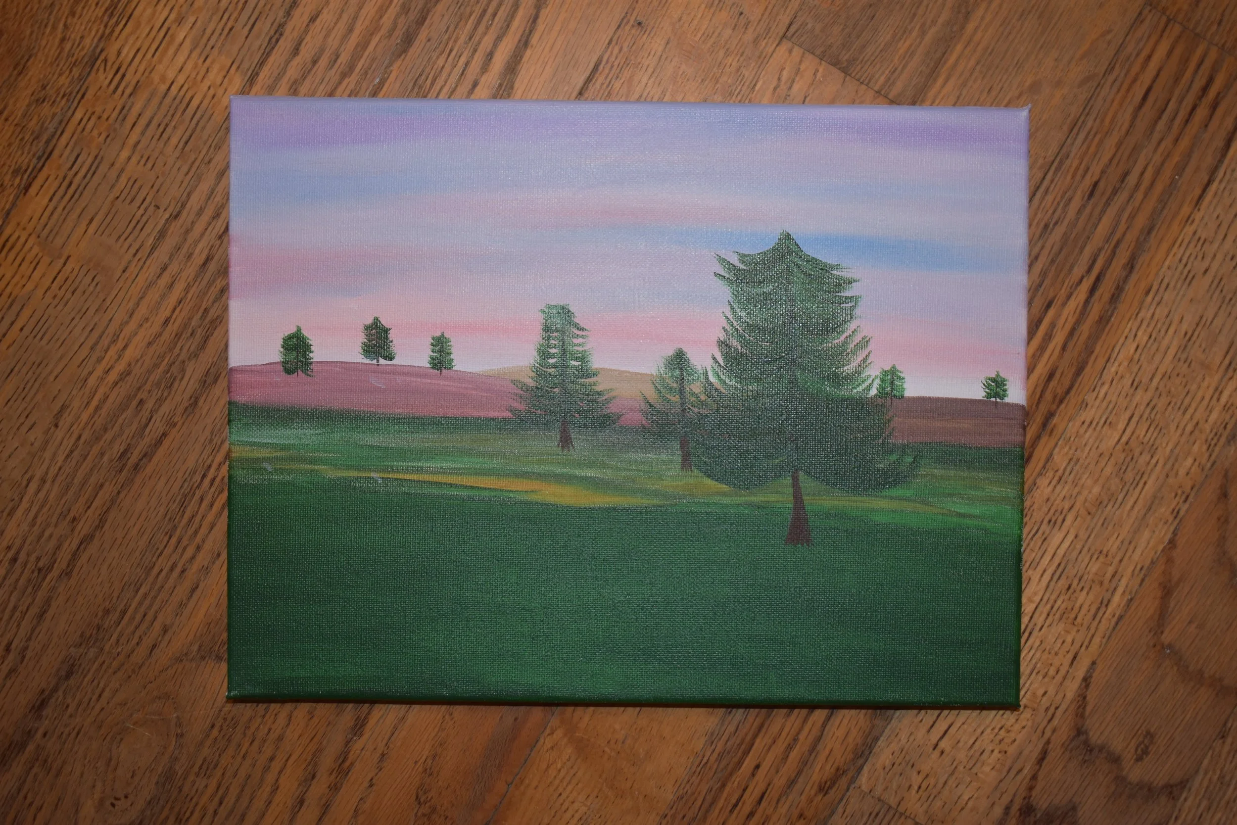 Forest View 2.JPG