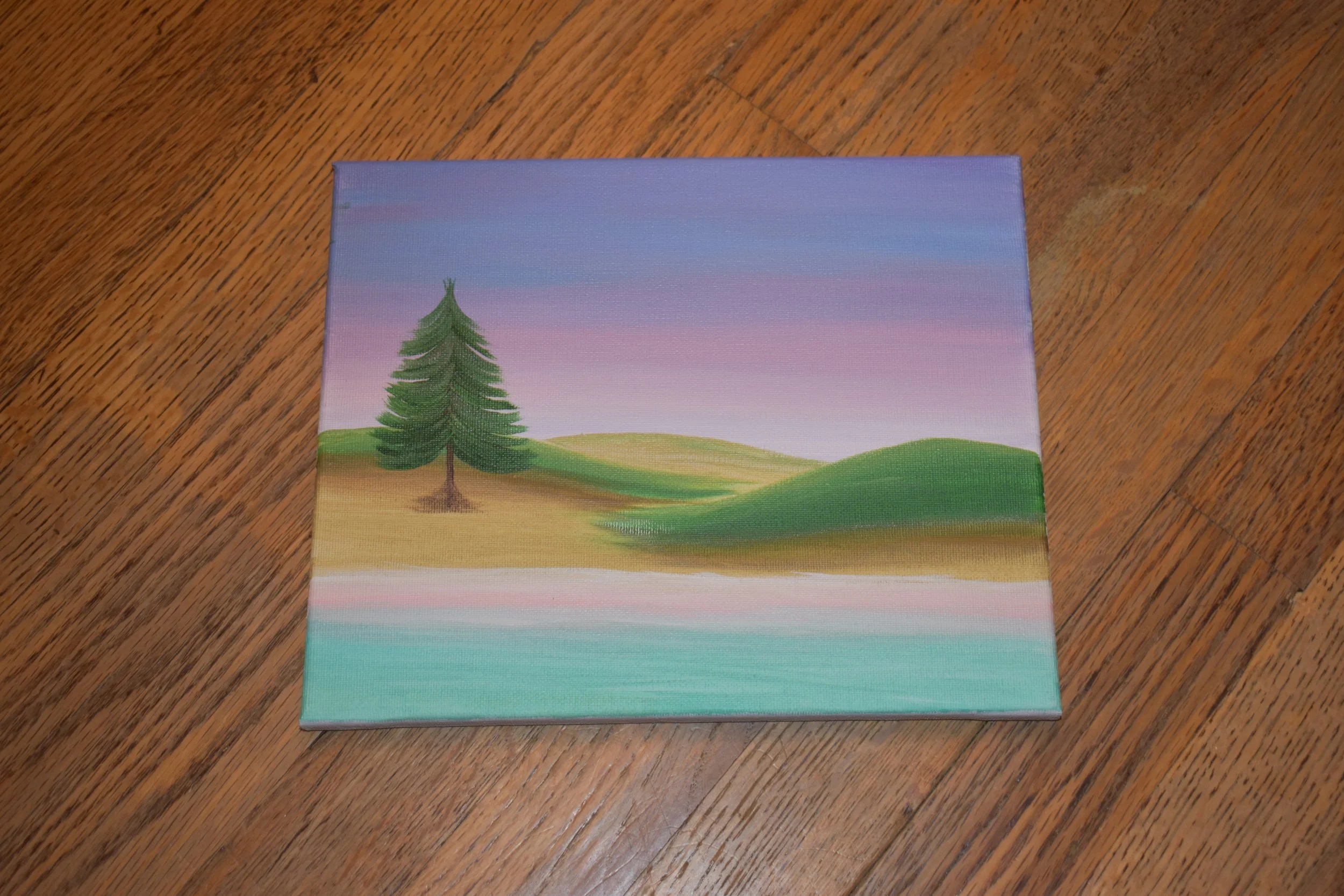 Baby Pine.JPG