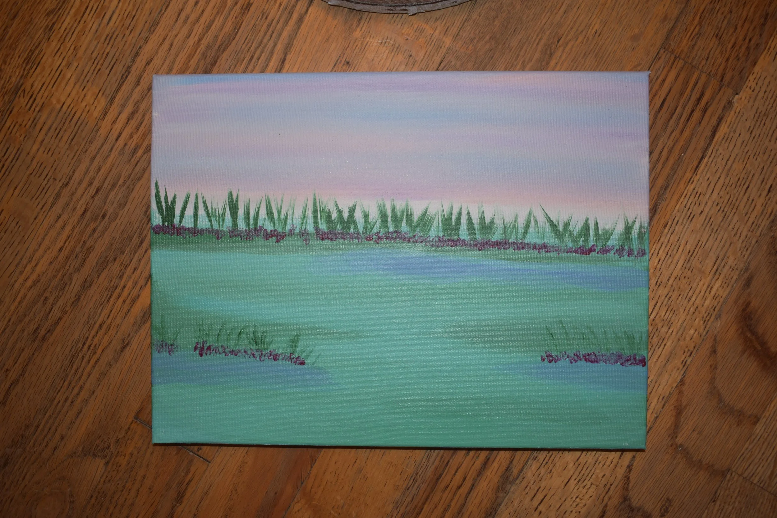 Marsh View 2.JPG