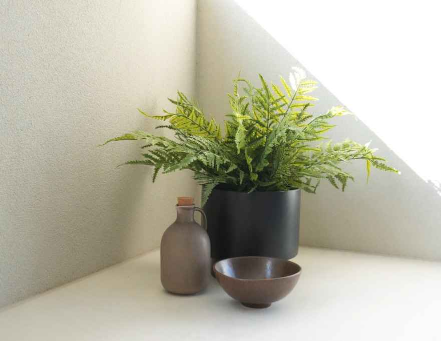 Green fern plant in a black pot, with a small brown bottle with a cork and a small brown bowl on a white surface near a corner