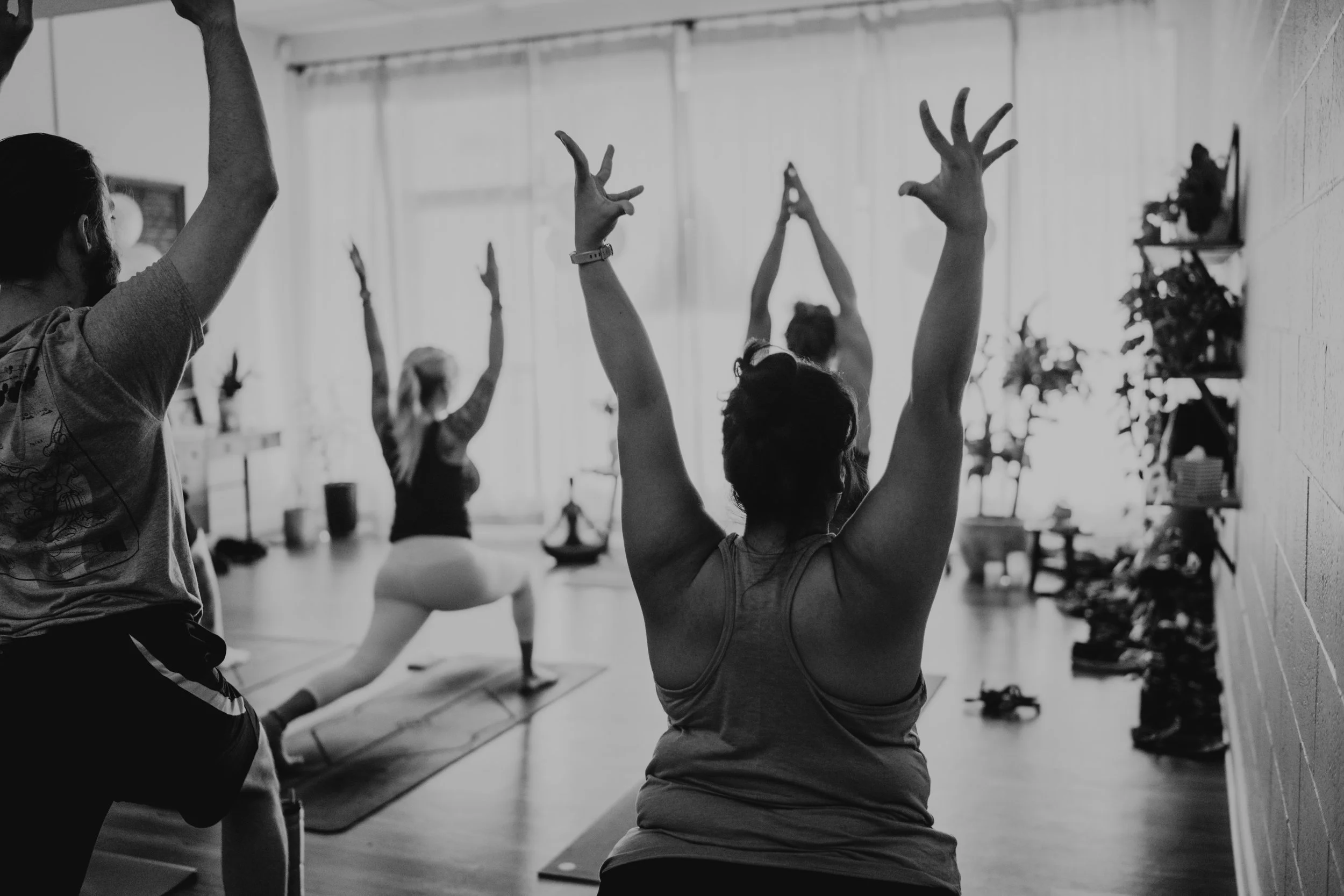 6-Week Group Mentorship: Structuring & Sequencing: Vinyasa Yoga