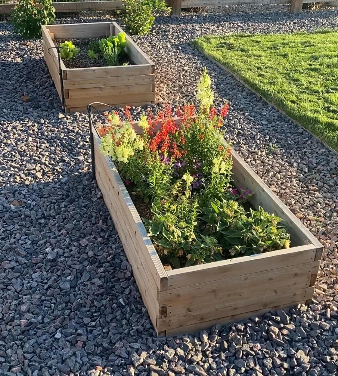 Garden Boxes.jpg