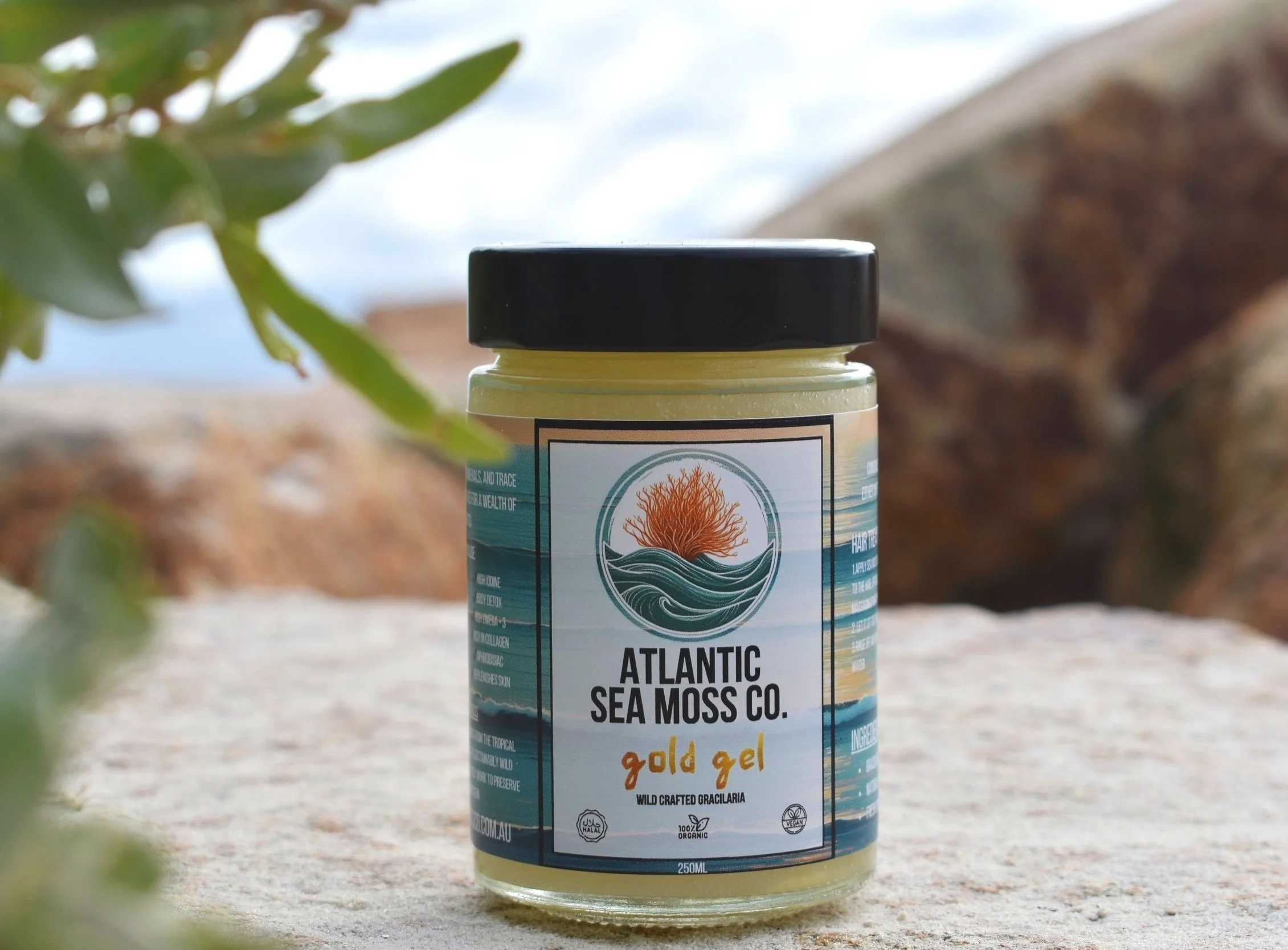 Sea Moss Australia