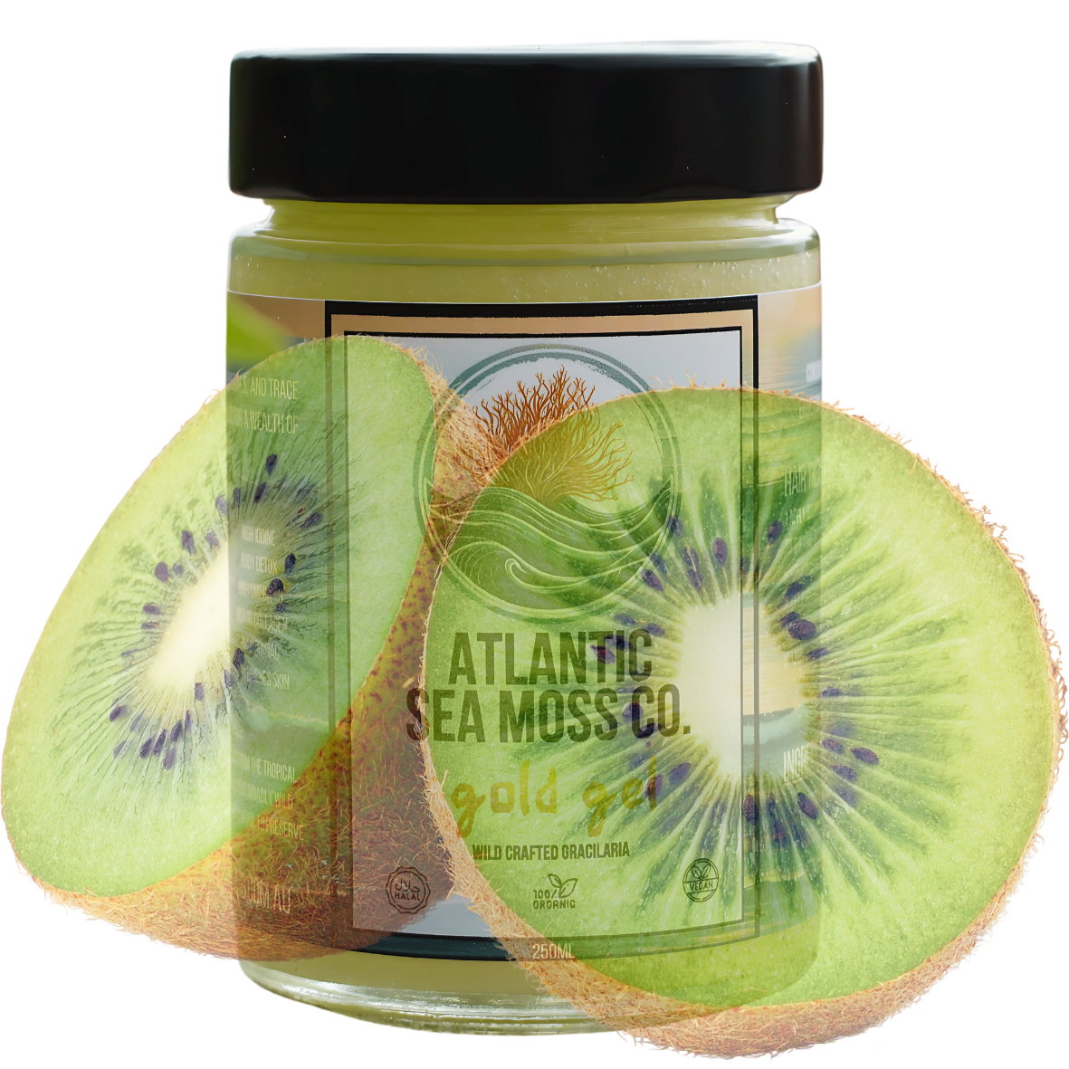 Kinetic Kiwi