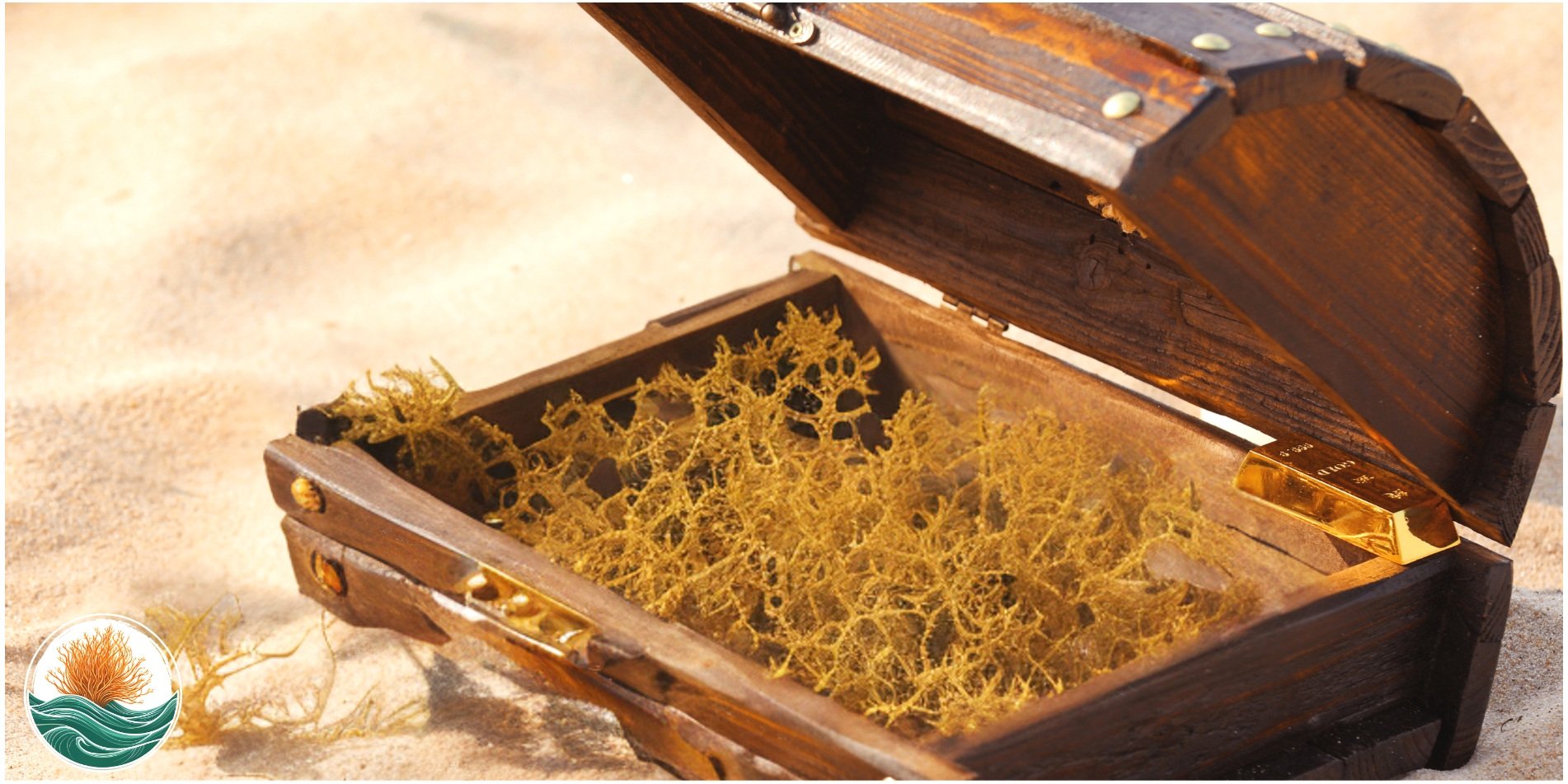 An open wooden box containing golden-colored seaweed or moss and a small amber-colored object, placed on a sandy surface.