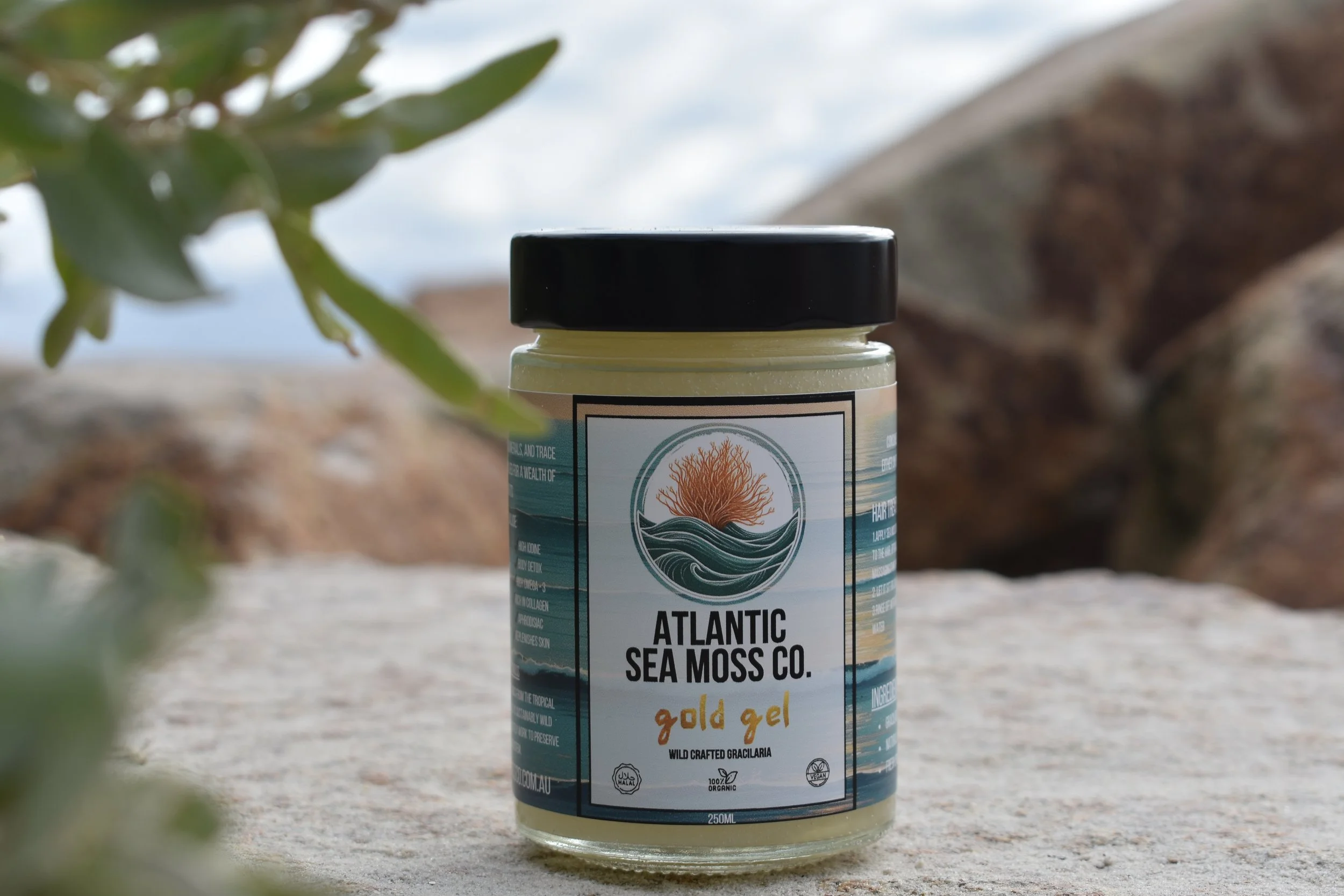 A bottle of Atlantic Sea Moss Co. gold gel, placed outdoors on a concrete surface, with green leaves in the foreground and a blurred natural background.