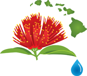 A red hibiscus flower with yellow pollen, green leaves, and a blue ceramic teapot on a white background.