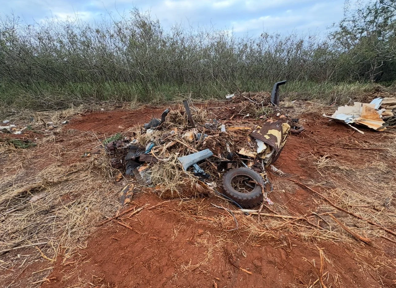 AINA ZONE B DEBRIS - Aina Alliance.PNG