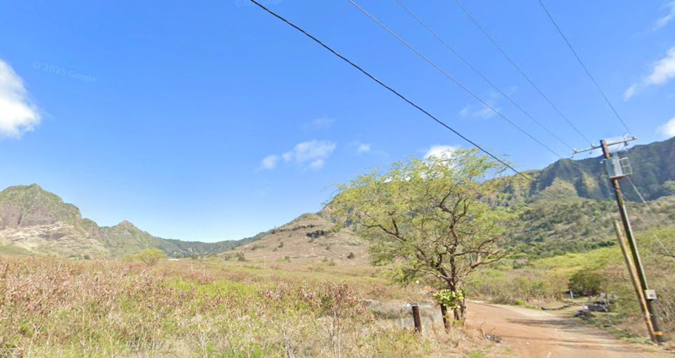 A rural landscape with a dirt road, a tree, power lines, and mountains in the background under a blue sky with some clouds.