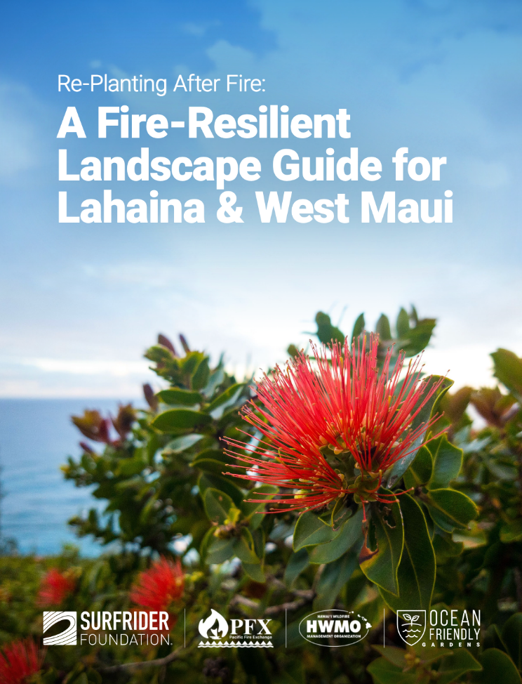 A Fire-Resilient Landscape Guide for Lahaina & West Maui
