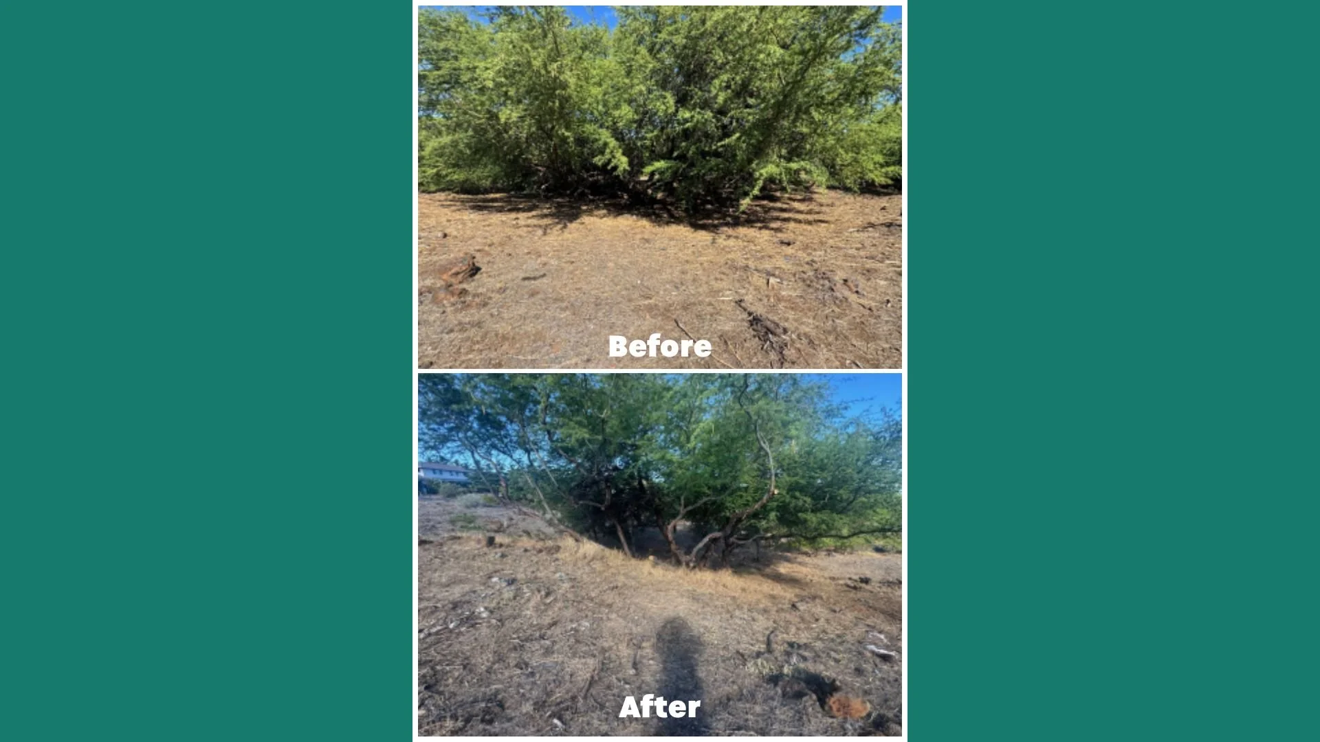 Hawai‘i Wildfire Community Risk Reduction Grant Program.jpg