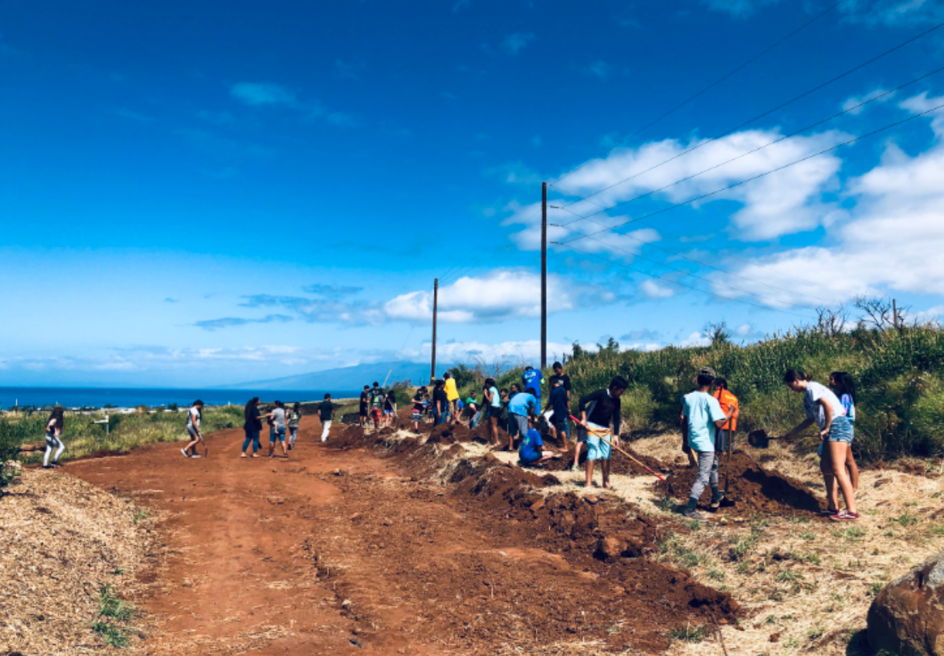 Group of people planting trees on a hillside under a blue sky with clouds.