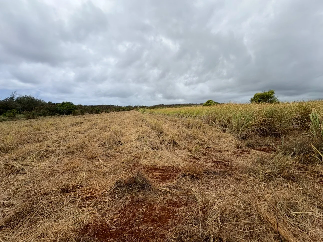 AINA ZONE-B PAD4 - Aina Alliance.PNG