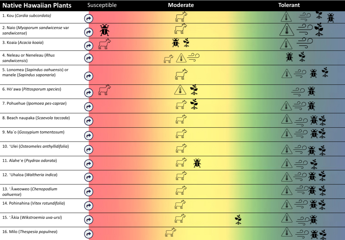 Coastal Plants for Creating Greenbreaks