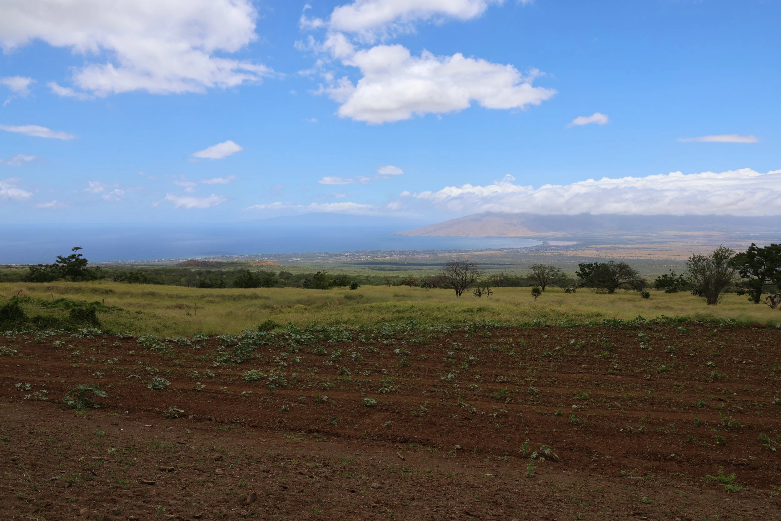 Aerial view of a dry hillside with some green trees and shrubs, a rocky path, and three people working near the greenery. Mountains in the background and a white vehicle on a dirt road.