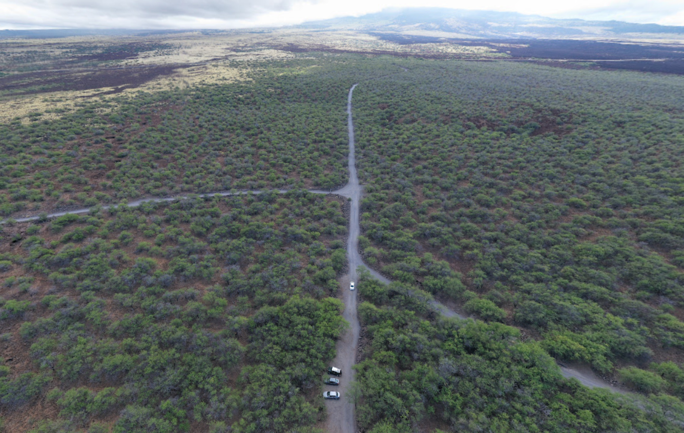 Aerial view of a dirt road running through a green, bushy landscape with several cars parked along the roadside, and a distant horizon with cloudy sky.