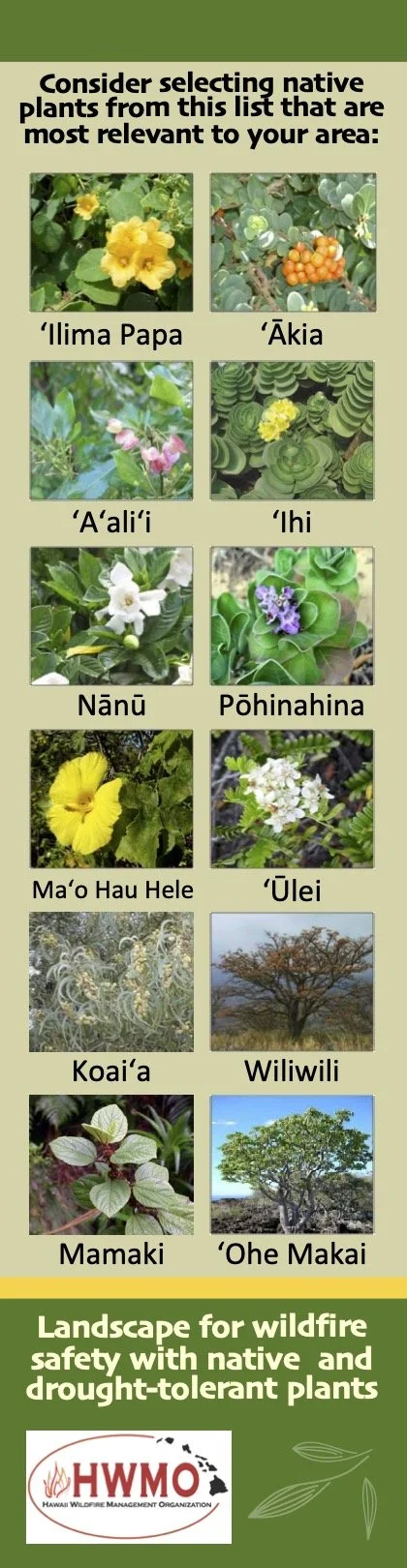 2015_10_12_Firewise Native Plant Bookmarks_HWMO.jpg