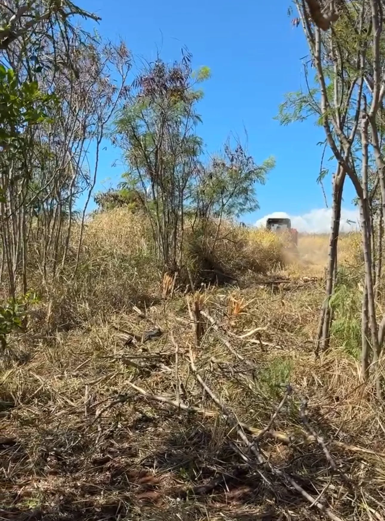 AINA ZONE-B SKID - Aina Alliance.PNG