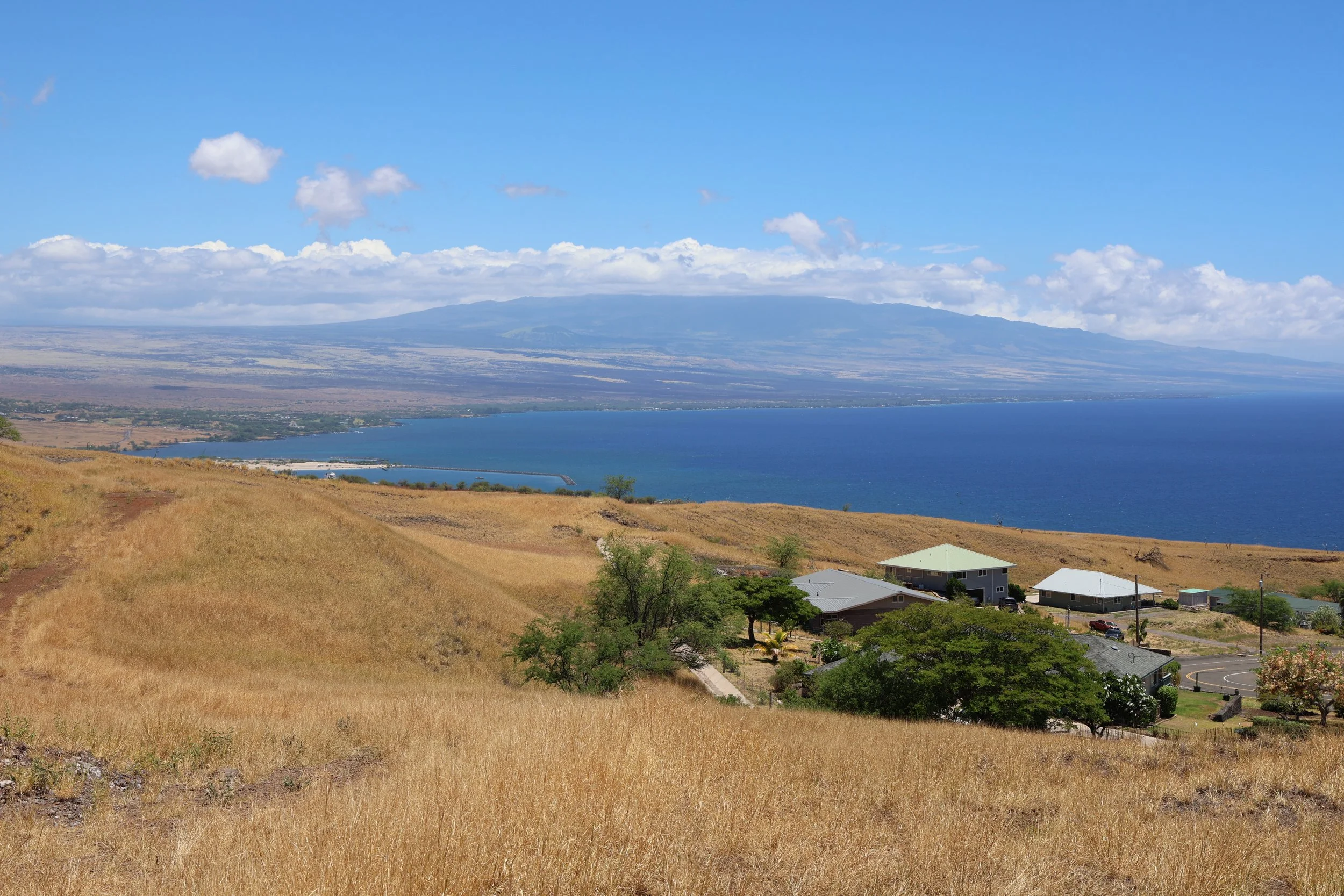 Hillside with dry grass