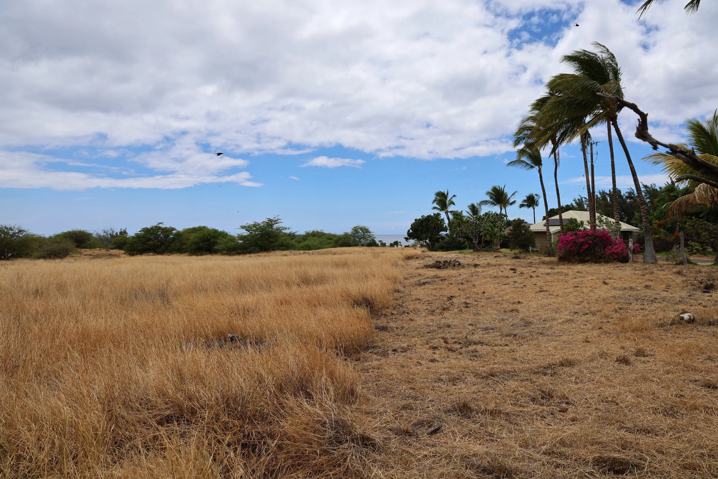 Wailea Property Owners Association - Hawaiʻi Island