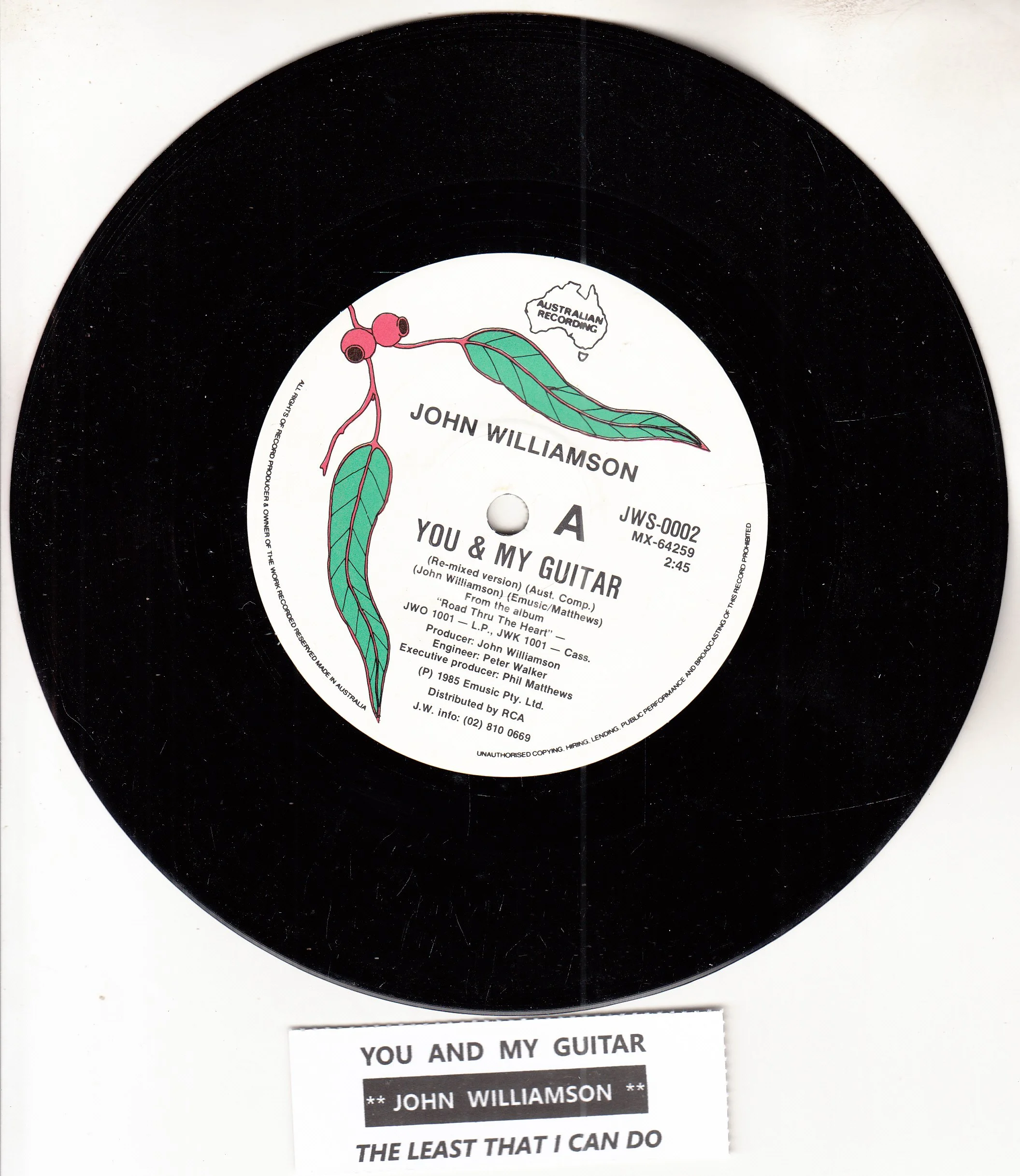 WILLIAMSON, JOHN - You and my Guitar