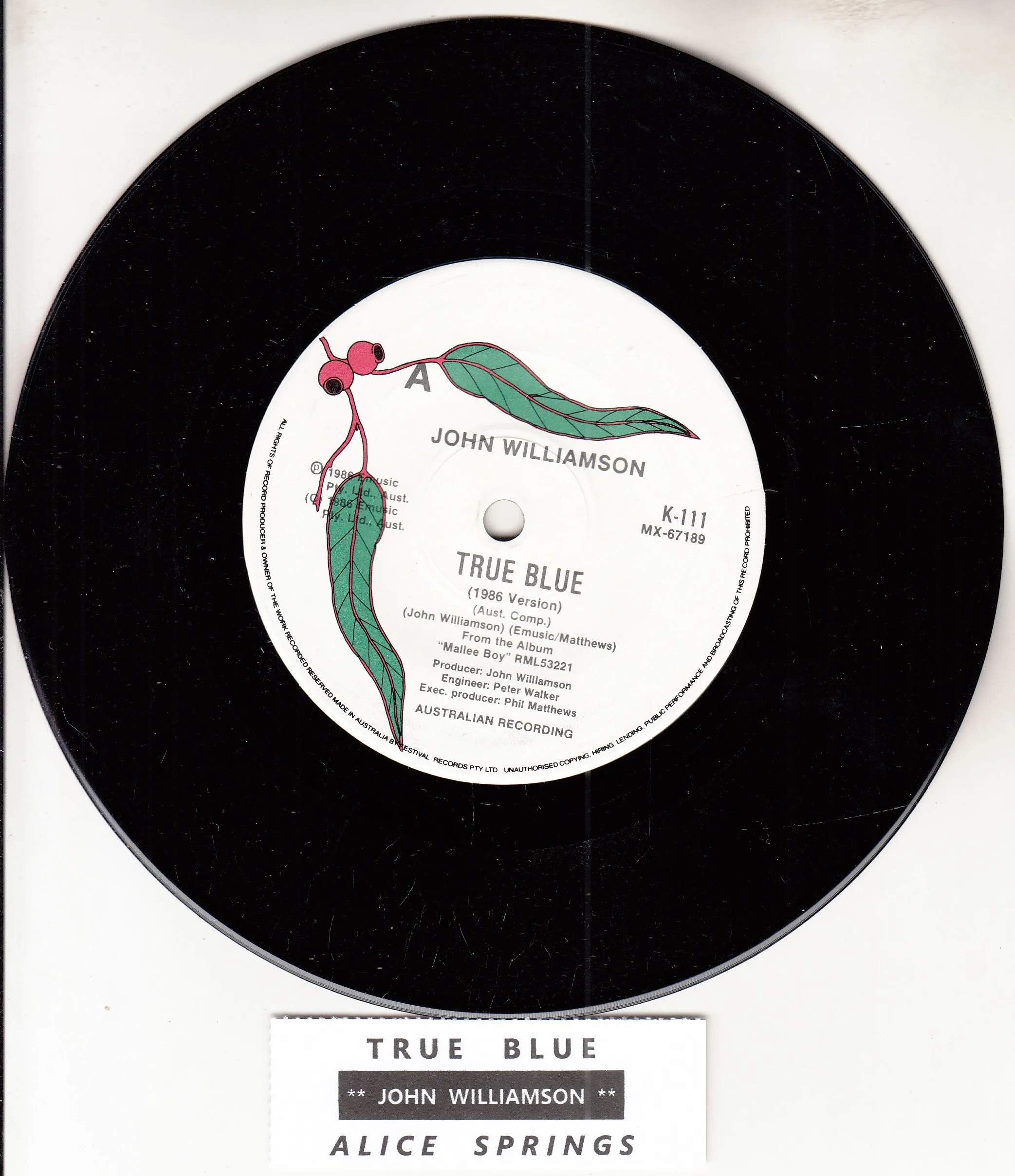 WILLIAMSON, JOHN - True Blue