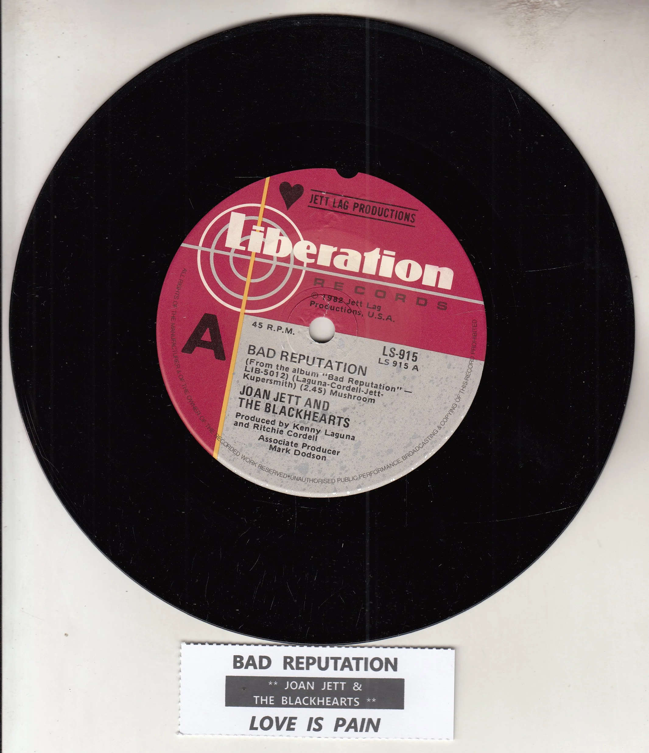 JOAN JETT Bad reputation.jpg