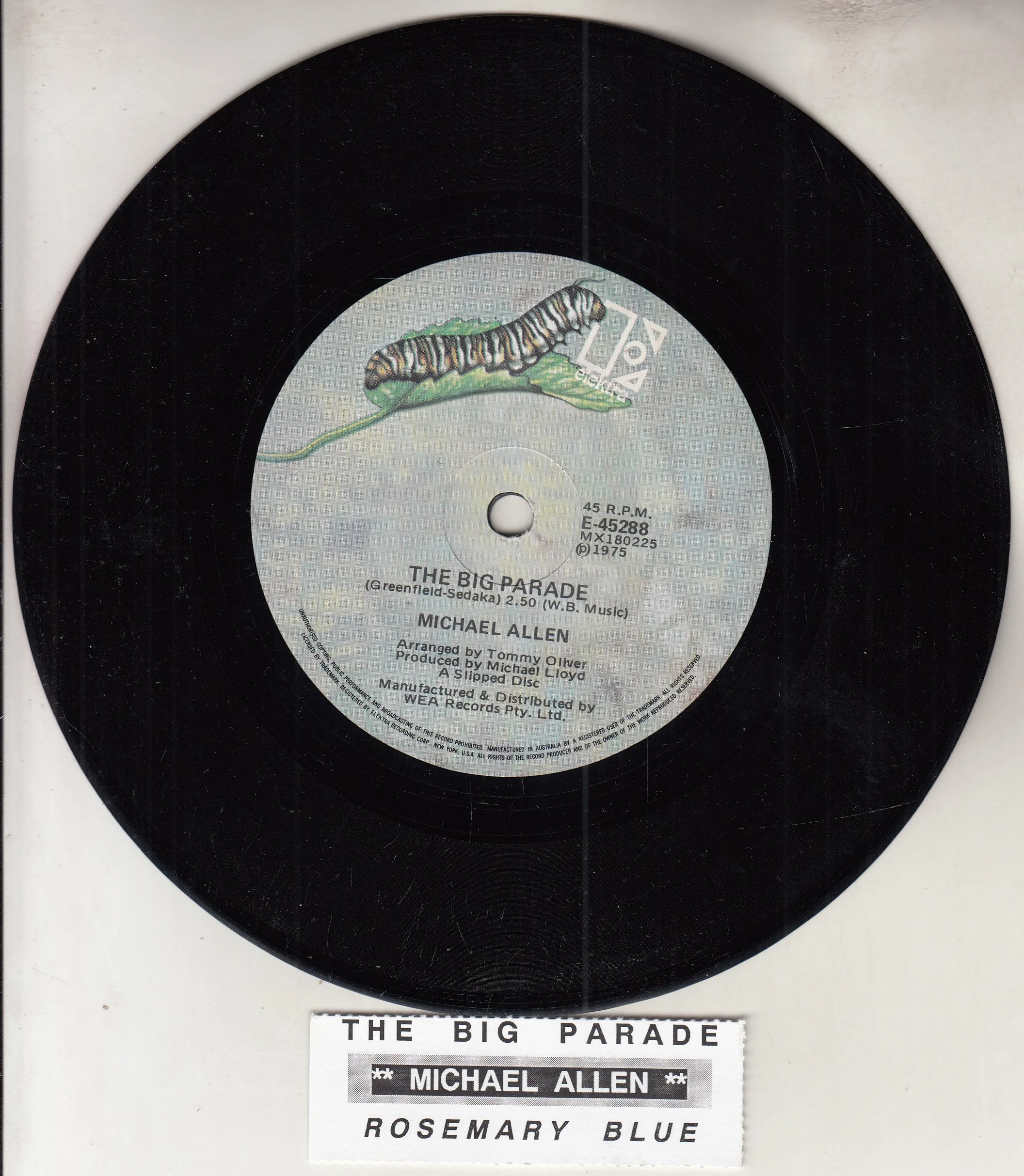 MICHAEL ALLEN The Big Parade.jpg