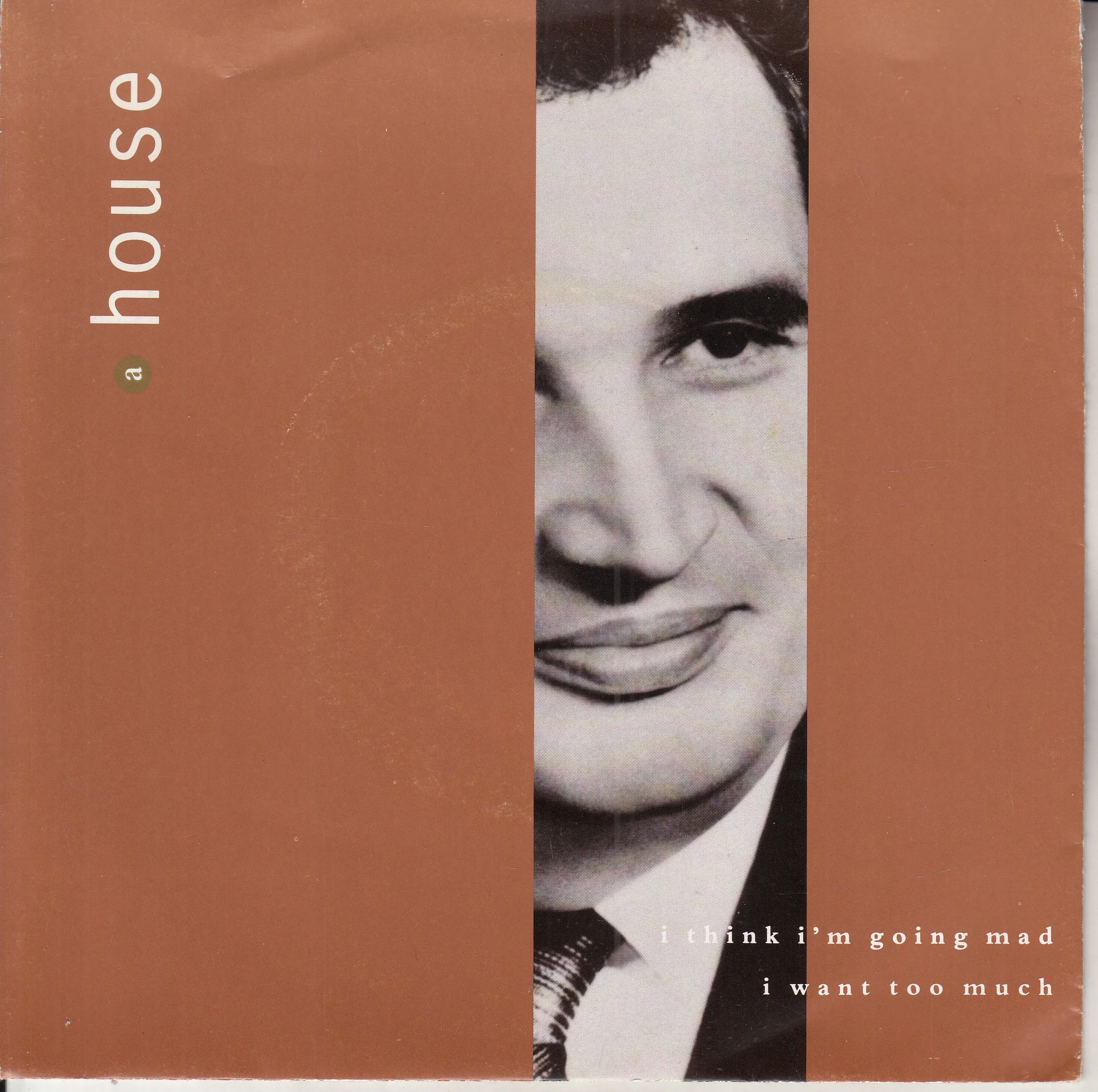 A HOUSE I think I'm going mad.jpg