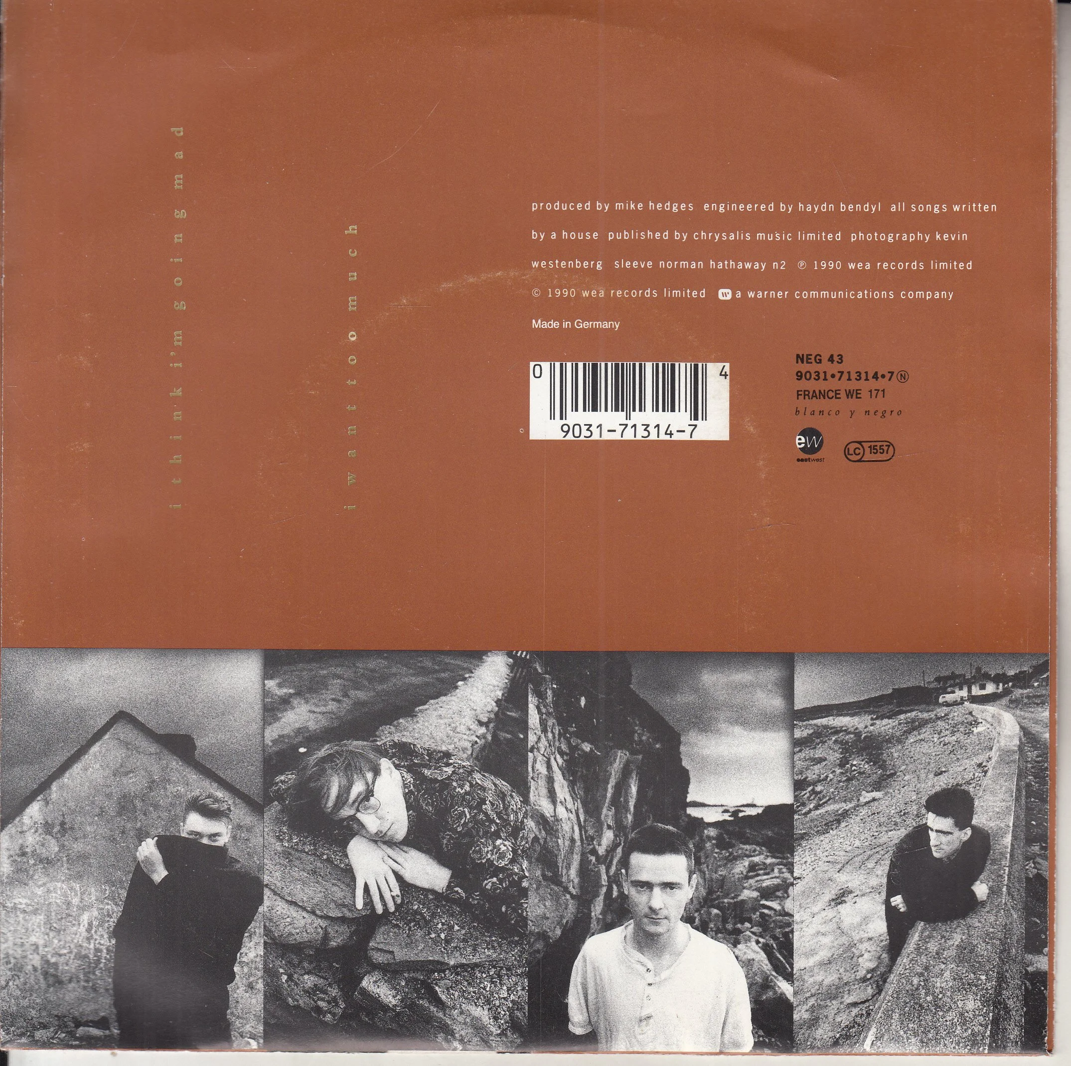 A HOUSE I think I'm going mad R.jpg