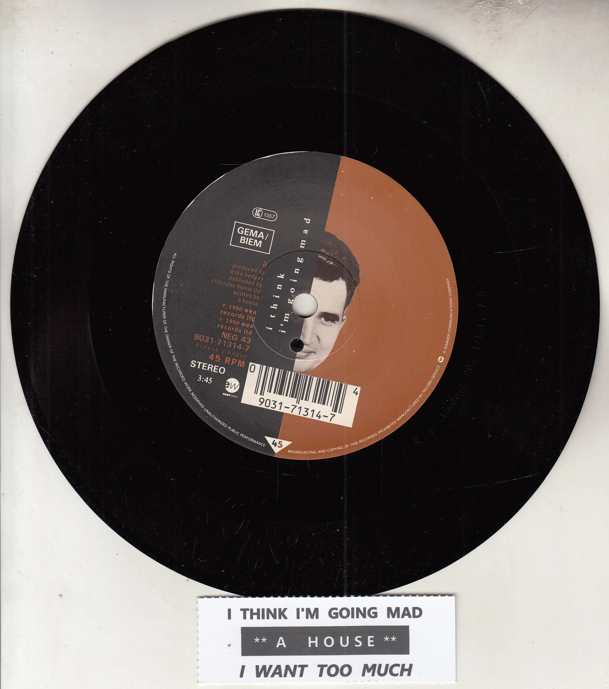 A HOUSE I think I'm going mad Rec.jpg