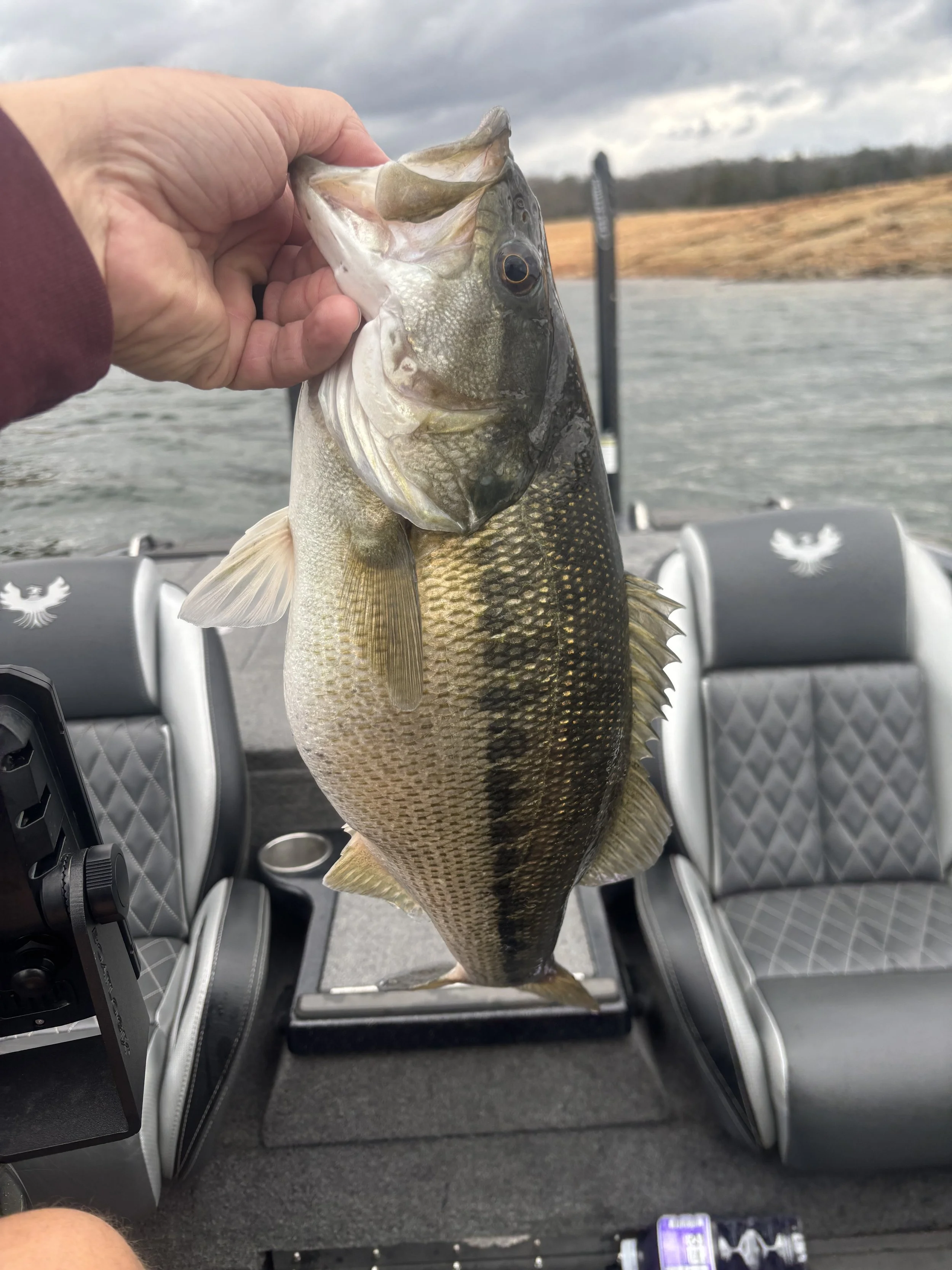 BWCJ angler Barron Adams showing of a nice spotted bass he caught on a BWCJ shakey head.