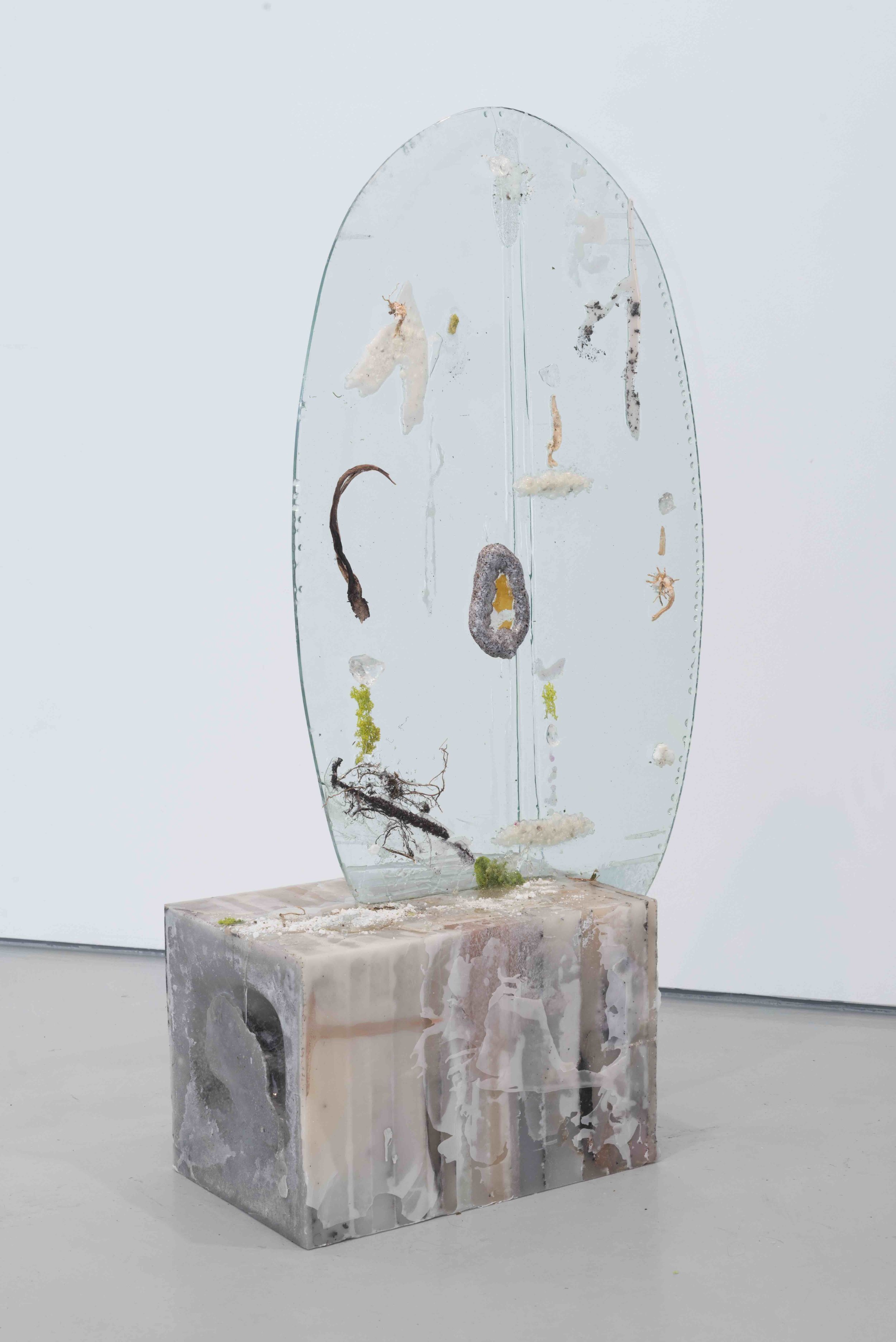 A large, rectangular block of salt rests on a concrete floor. Wedged perpendicularly into the block is a large, oval plane of glass with plant and moss parts embedded into the surface.