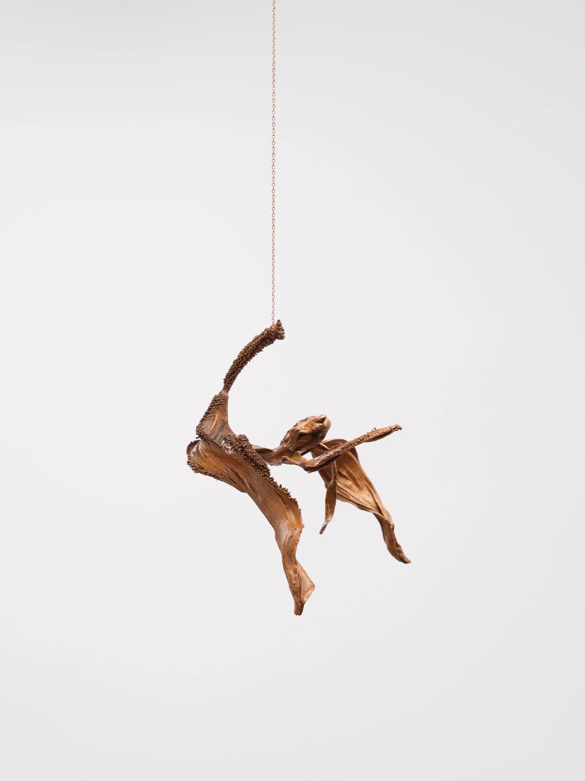 A sculpture, made of seemingly organic material in the shape of a dried plant, hands from a thin brown chain.