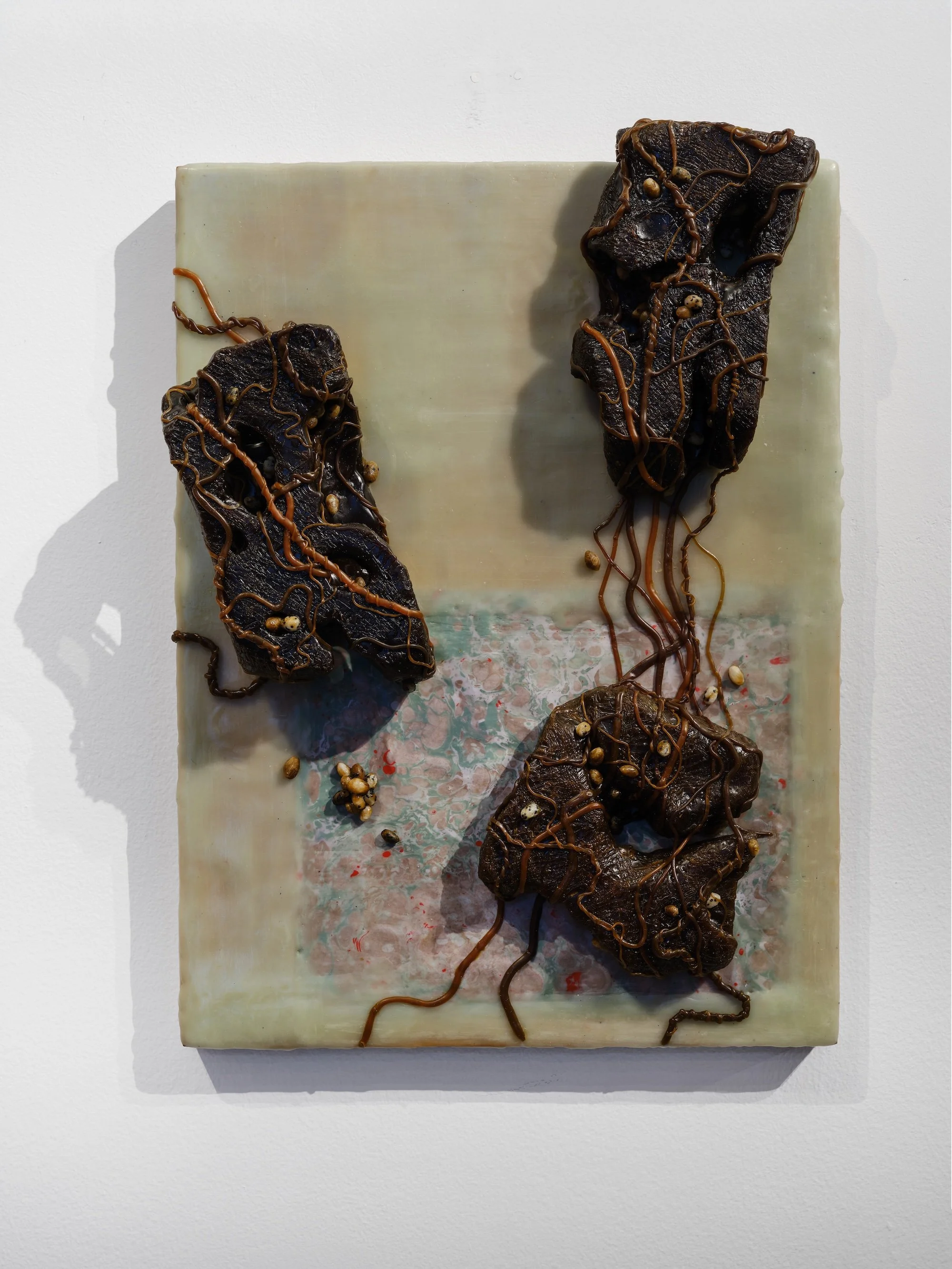 Wall-mounted mixed-media relief with dark, organic forms threaded with vine-like cords on a pale translucent panel.