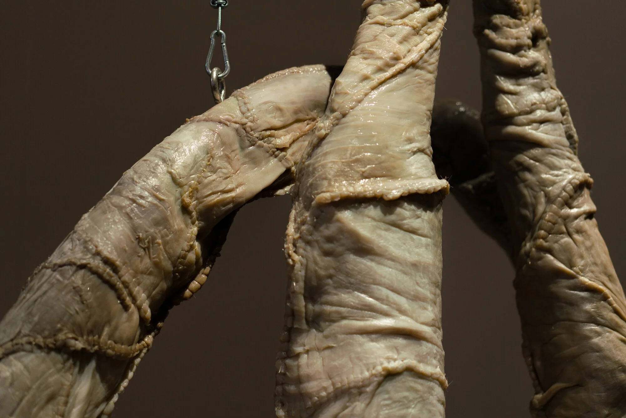 Close-up of stitched, fleshy sculptural surface with wrinkled, skin-like material and visible seams.