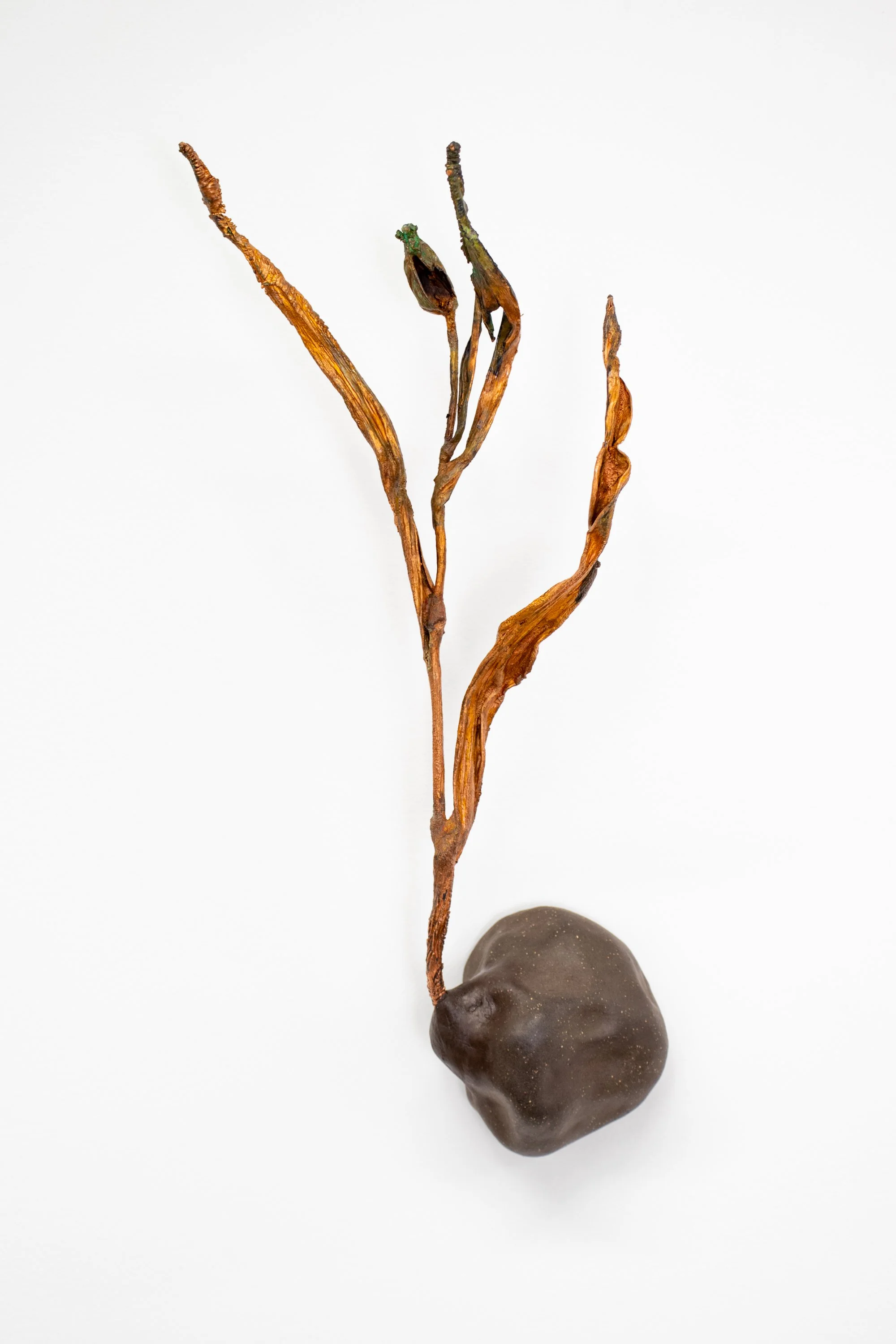A sculpture mounted to a white wall is comprised of a lumpy, speckled brown mass attached to the wall, with a brown plant-like mass growing up from it. The plant structure appears brown and dry, yet stands straight and unwilted.