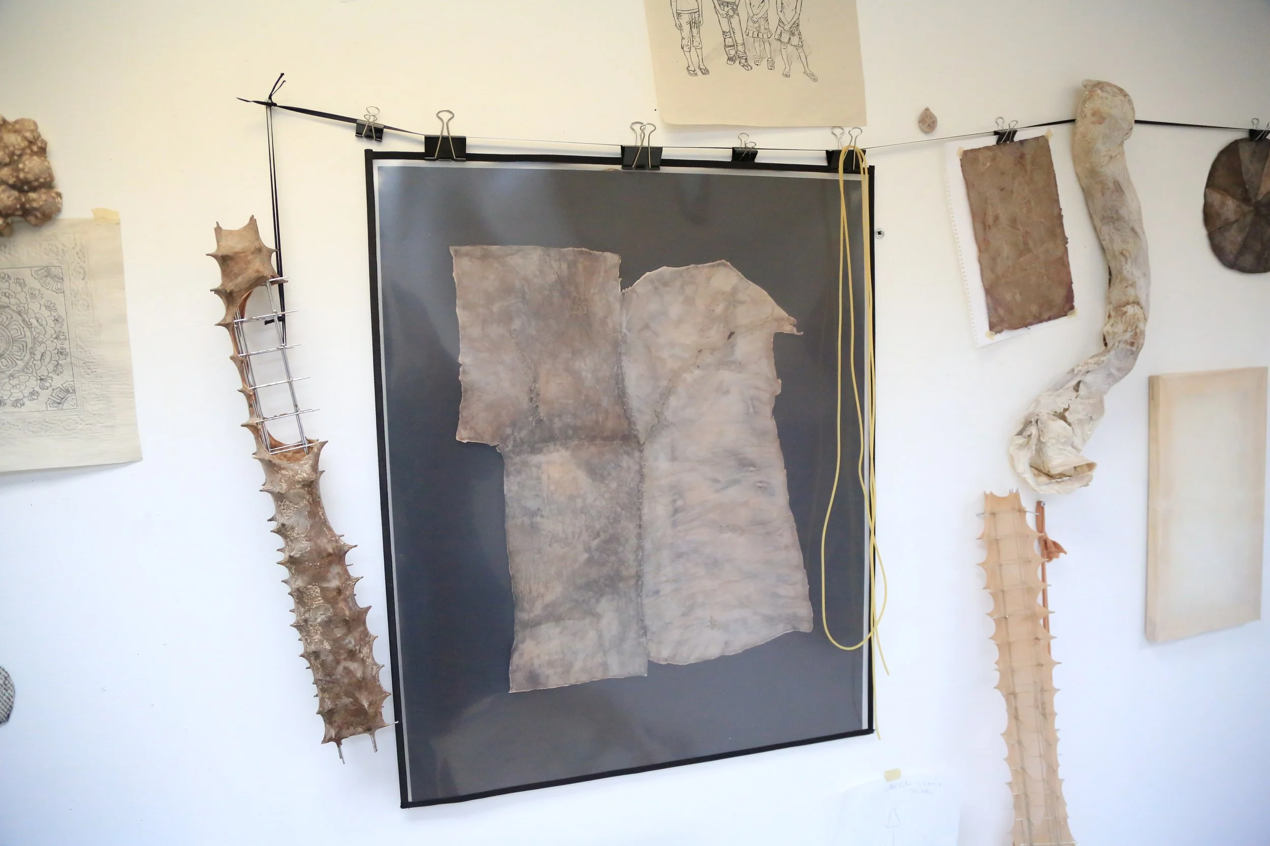 A white wall features a variety of works and objects pinned and hung to it: a spine-like sculpture, a photograph of skin-like biomaterial stitched together, sketches, and other objects mostly of flesh colors.