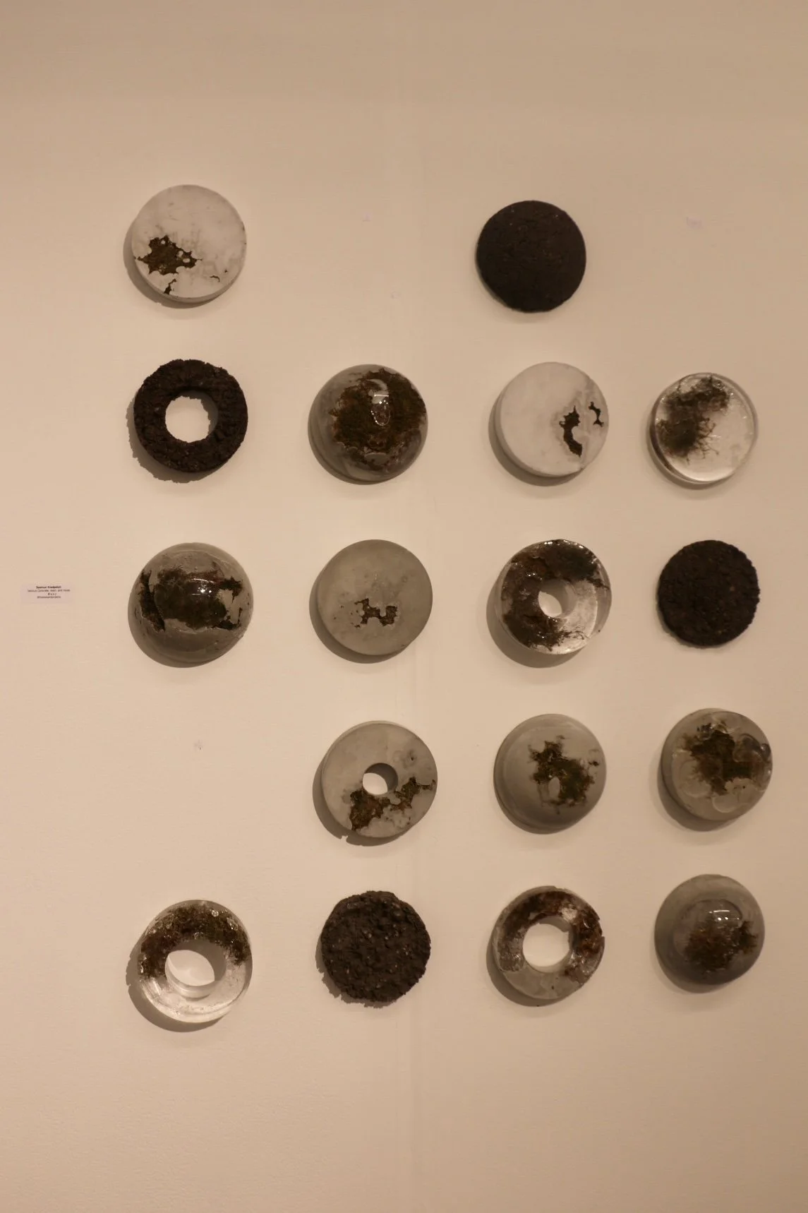 Grid of circular sculptural forms with organic, rust-like textures in muted tones on a white wall.