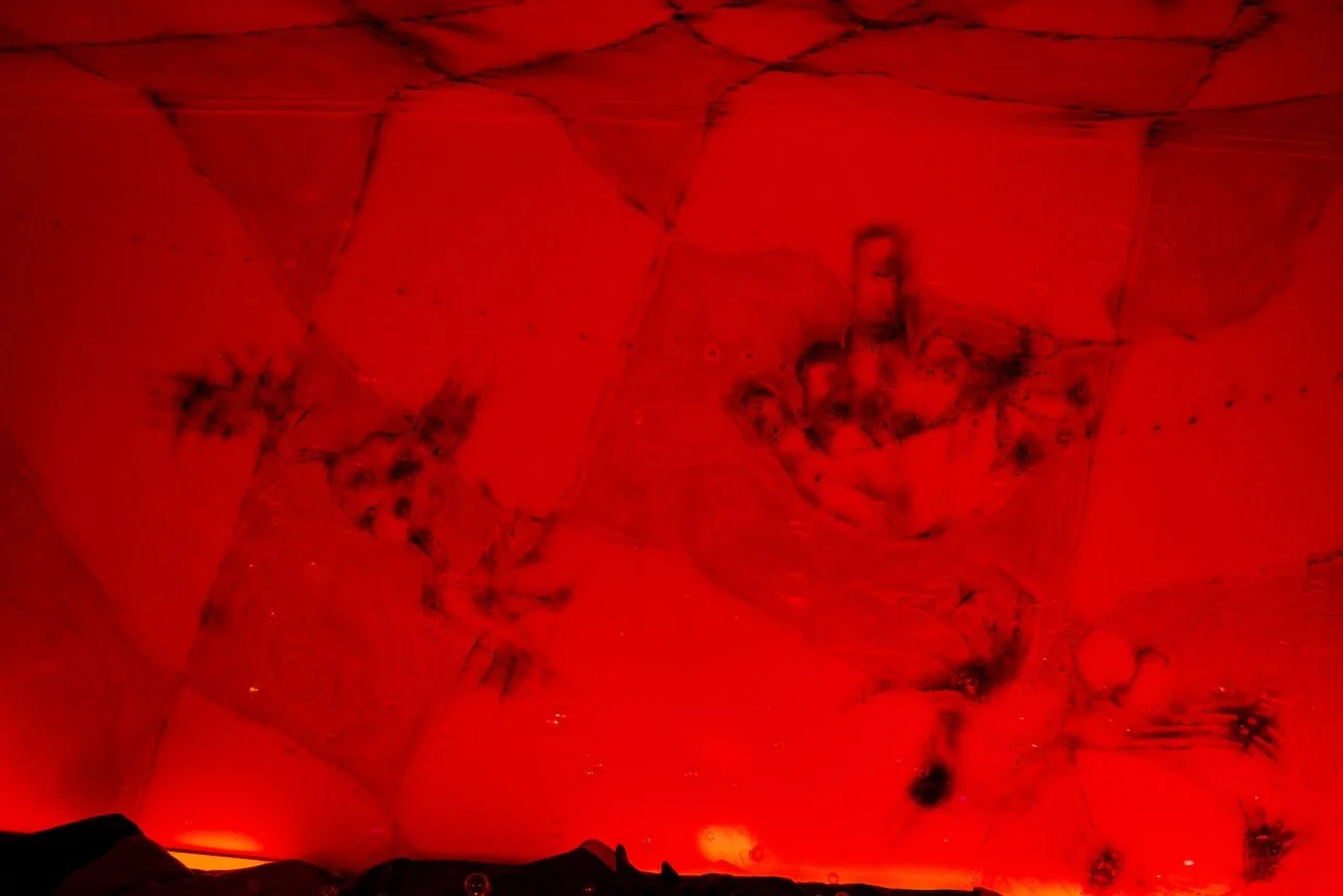 A patchwork design features abstract dark splotches and the shape of a middle finger. The patchwork seems adhered to a room's ceilings and walls and is bathed in red light.