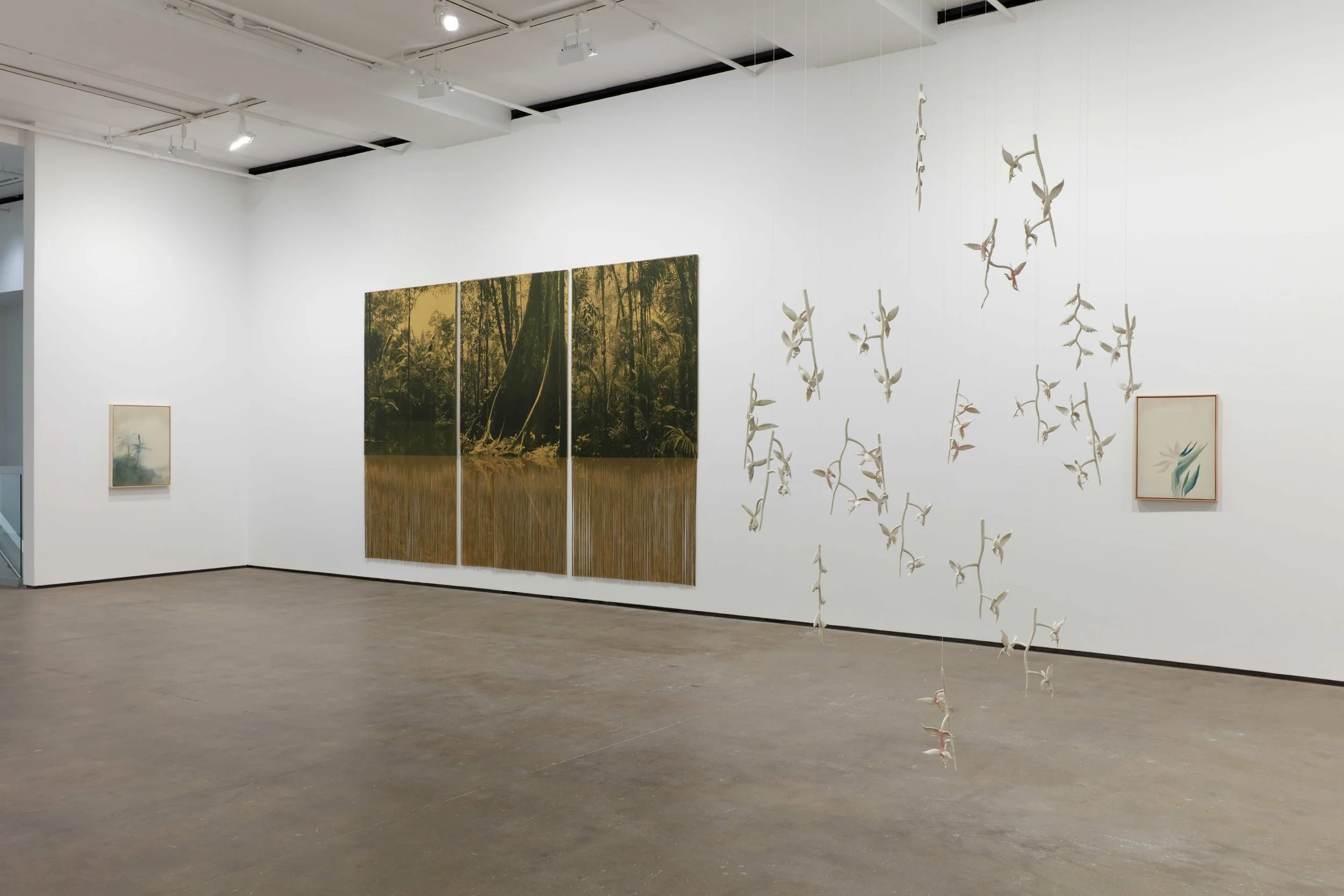 A large, white gallery room hosts a main wall work comprised of three uniform fabric pieces printed with a green and brown jungle landscape. A sculpture in the round consists of porcelain plant stems hung in clusters from invisible wire.