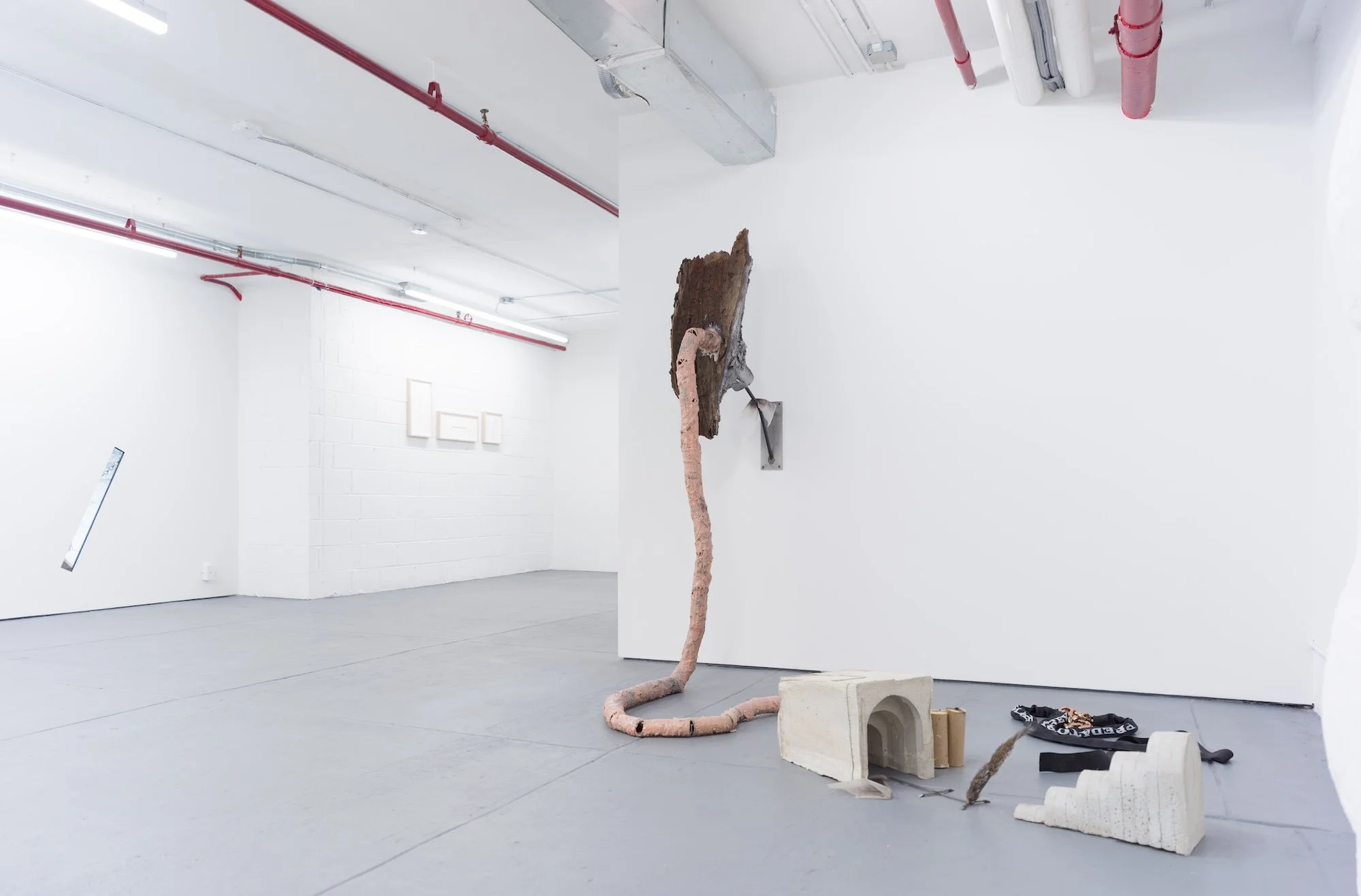 Installation view of gallery with bark-covered wall sculpture and long tail-like form extending to the floor among scattered objects.