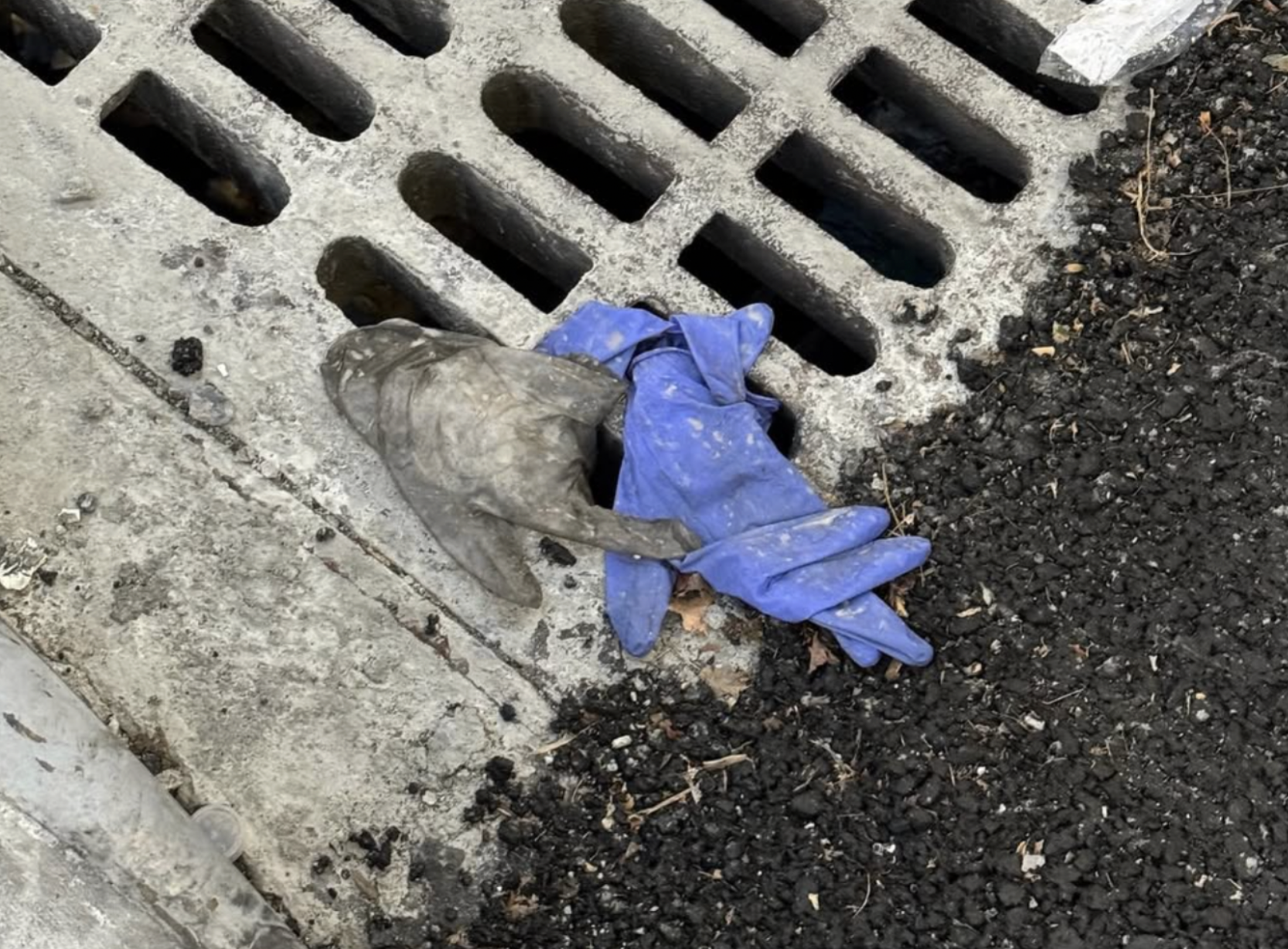 Discarded blue and gray rubber gloves caught beside a street drain.
