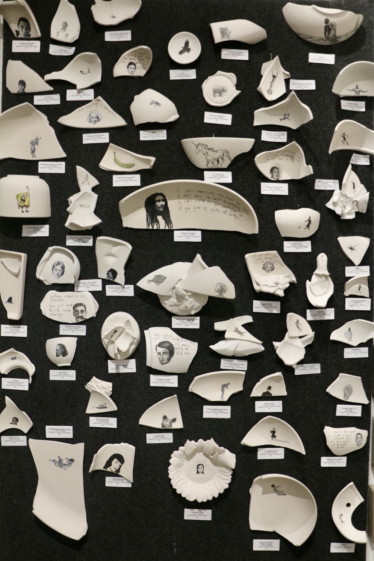 Broken ceramic shards mounted on a wall, each illustrated with small drawings and labeled captions.