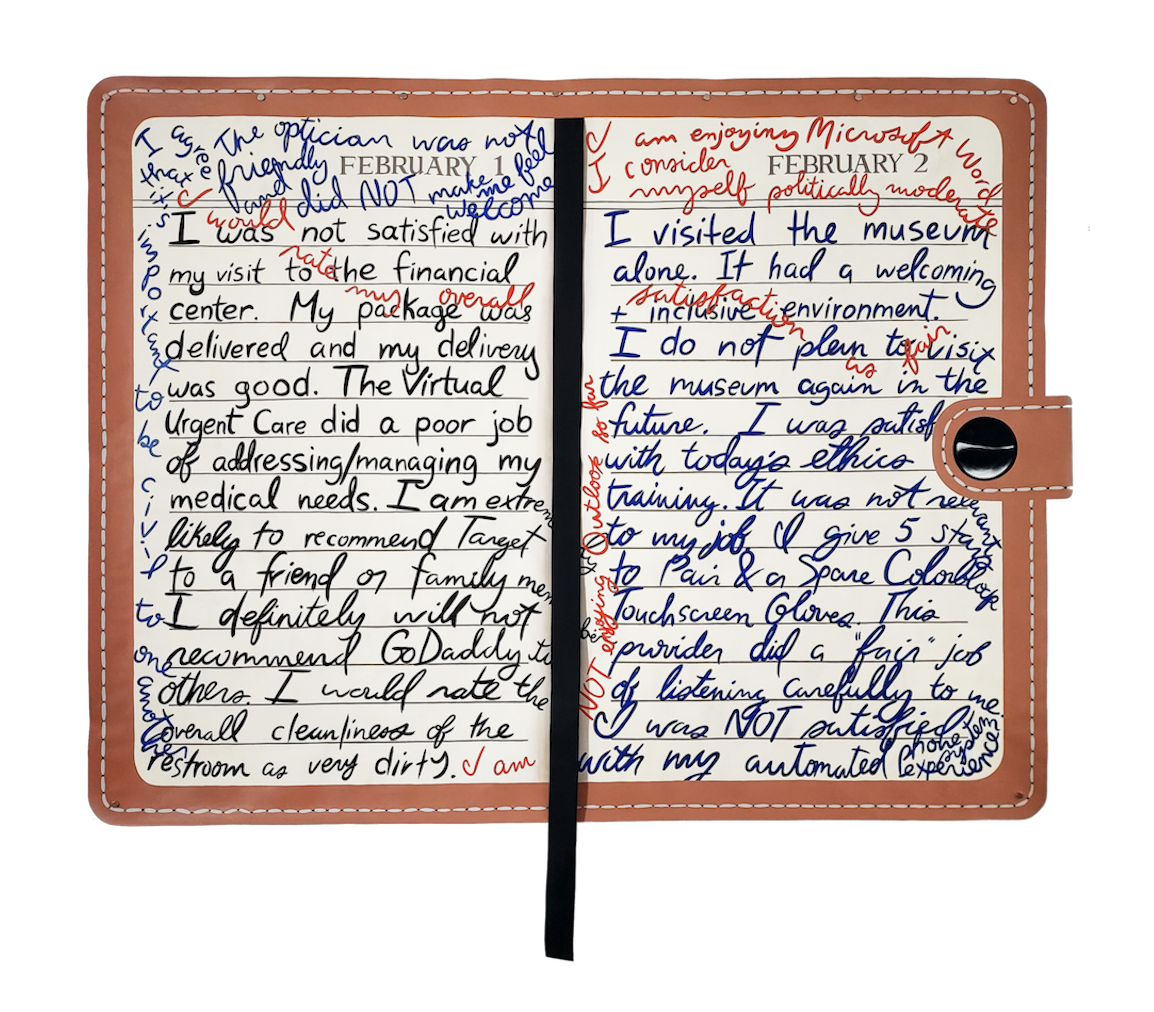 The Painted Wordplay and Critiques of Becky Brown