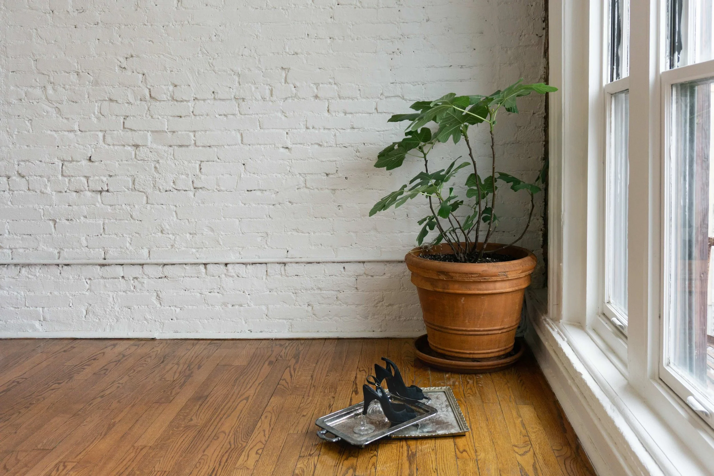 The corner of a room with a white-painted brick wall hosts a potted plant and a small sculpture made of a pair of black heels on top of two stacked silver trays.