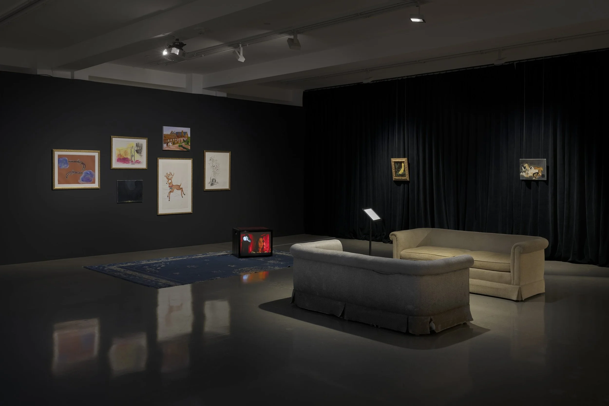 A dimly lit room with black walls features a number of smaller 2D works mounted to the walls. In the center of the space, a tv sits on top of a rug perpendicular to two large beige couches facing each other.